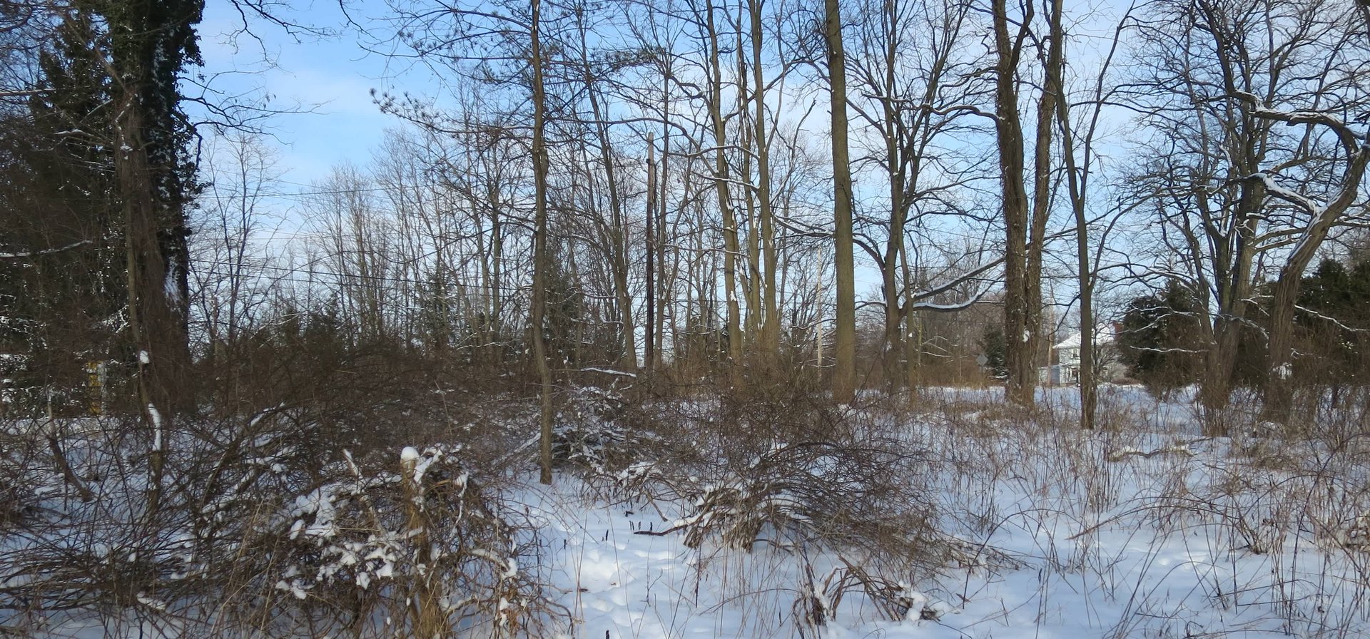 1451 Lake Rd.