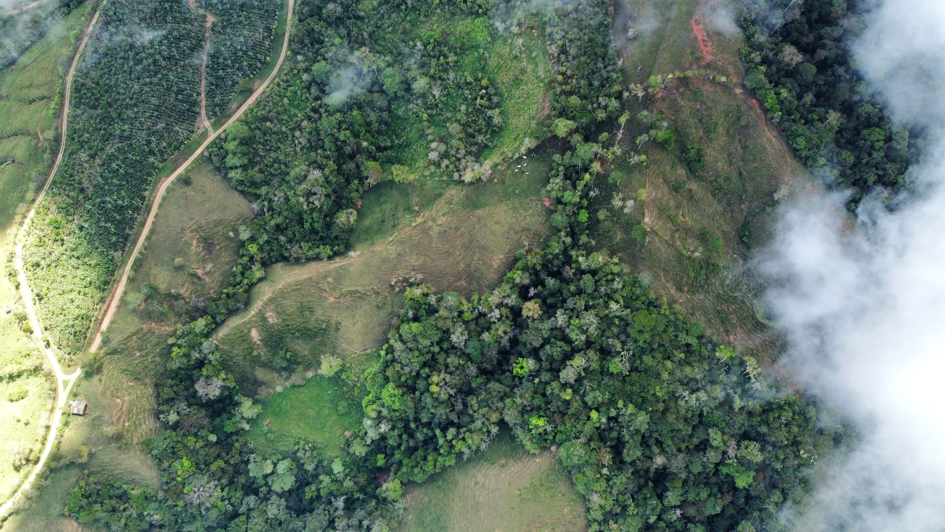 OVER 14 ACRES FARM IN ALTO DE GUADALUPE