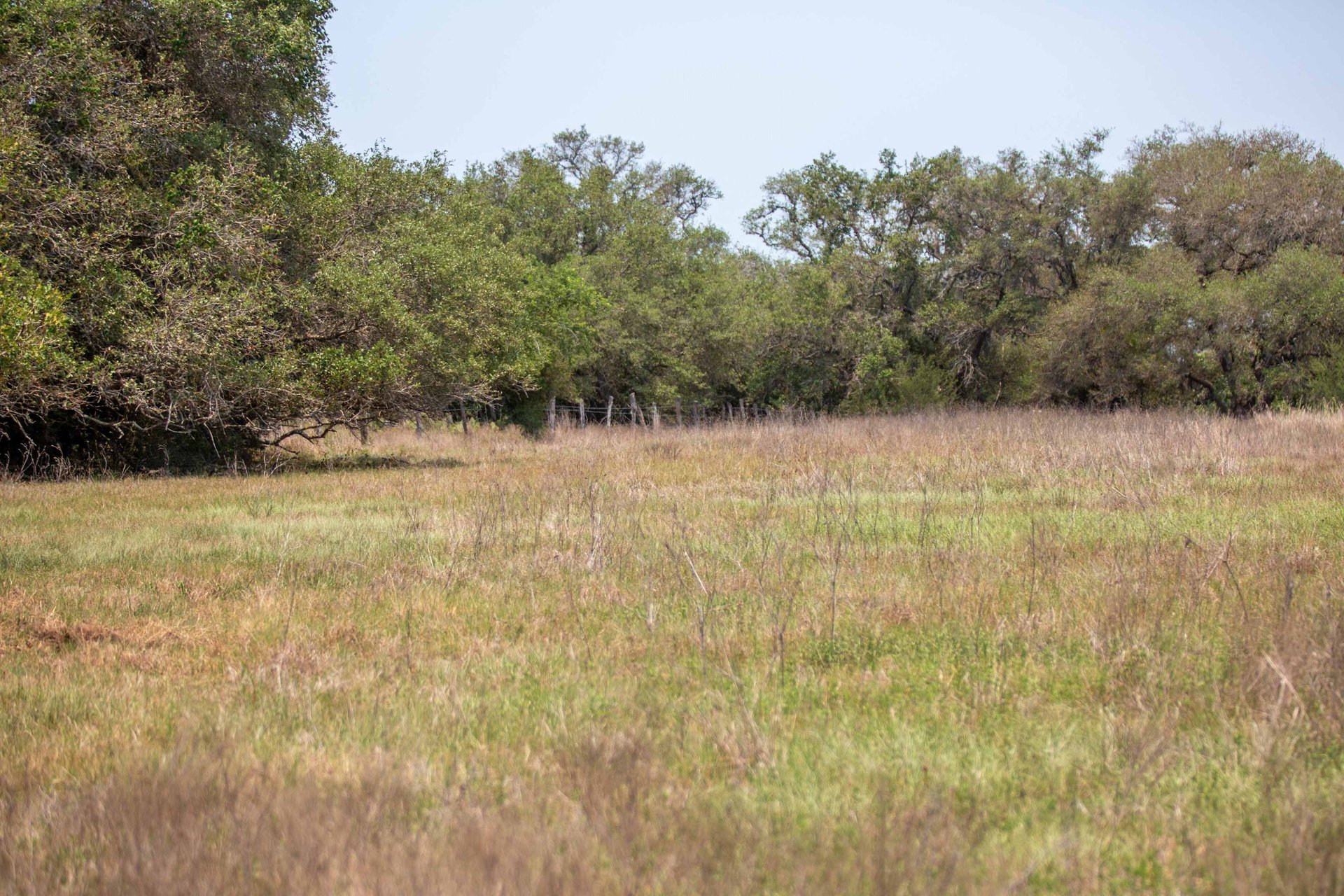 Green DeWitt Rd | 40.82± Acres | DeWitt County