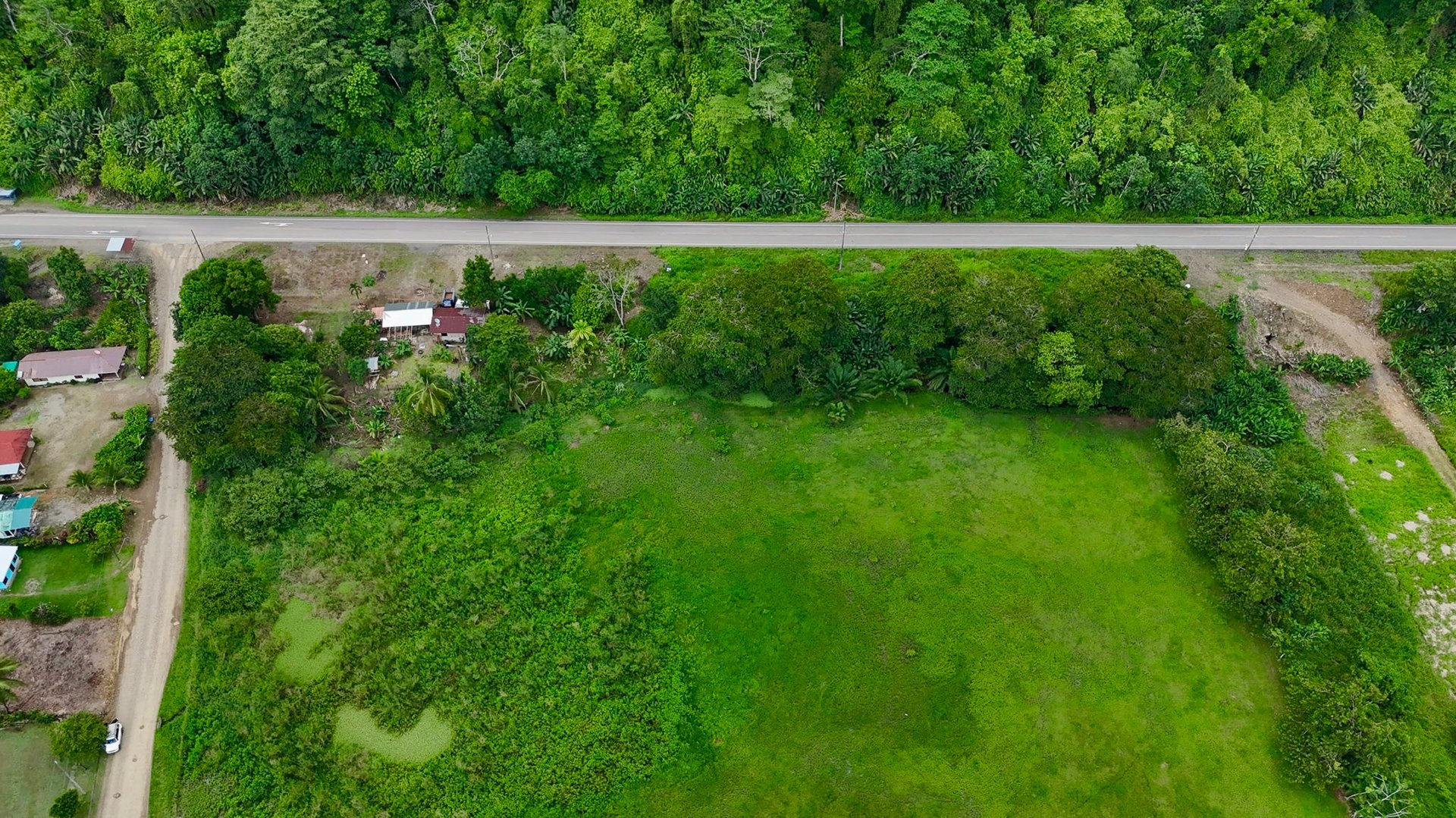 Fire Sale – Over 12 Acres of Land with Public Road Frontage Near Ojochal