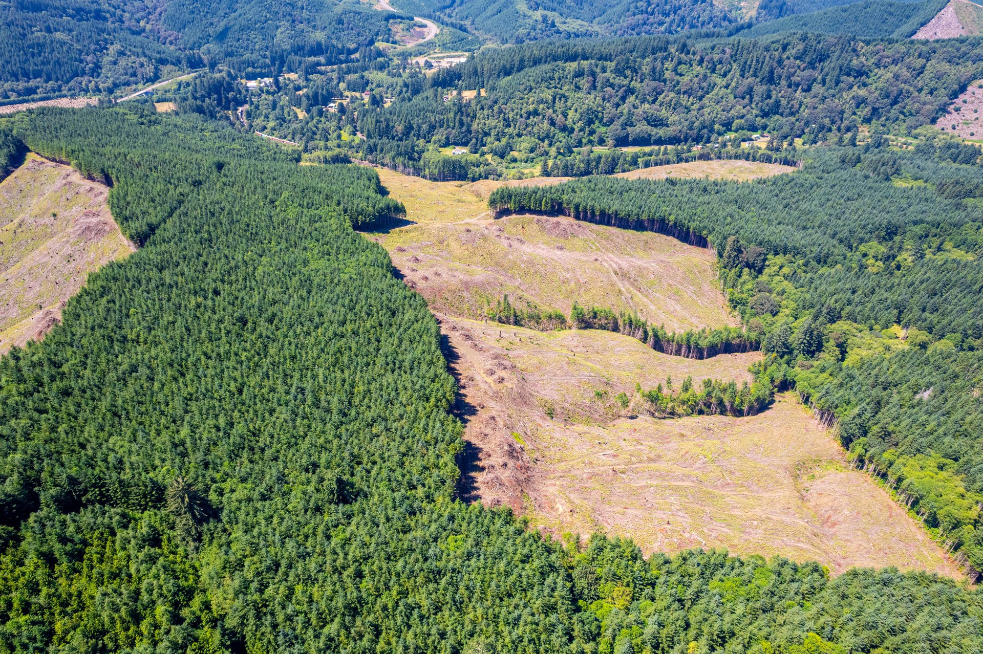 Eddyville/Sam's Creek Sealed Bid Offering (No Published Reserve) 