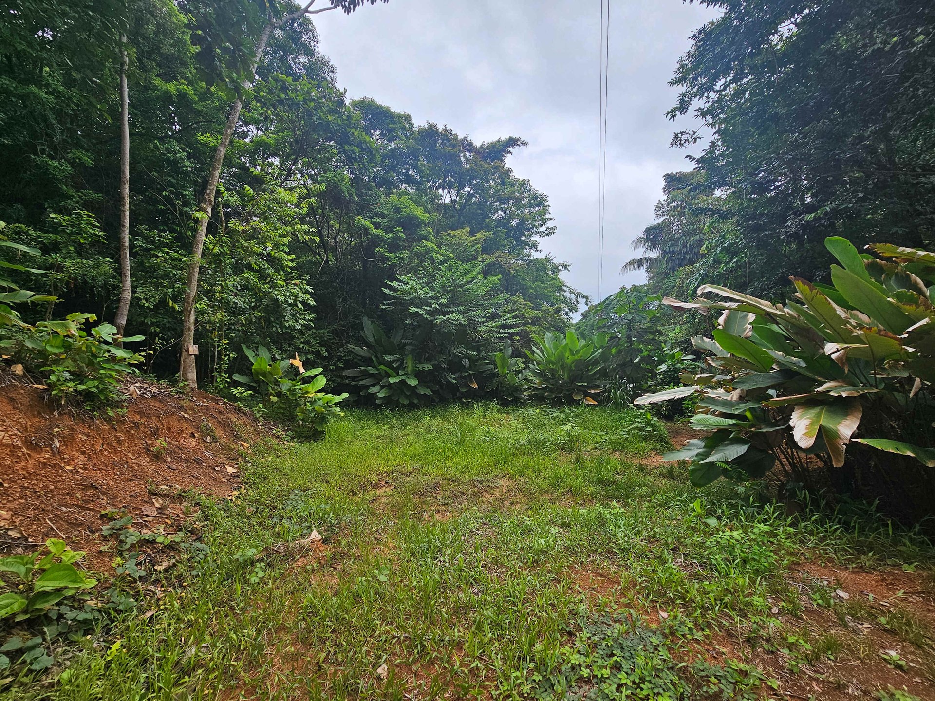Discover Your Dream in Uvita's Prime Real Estate