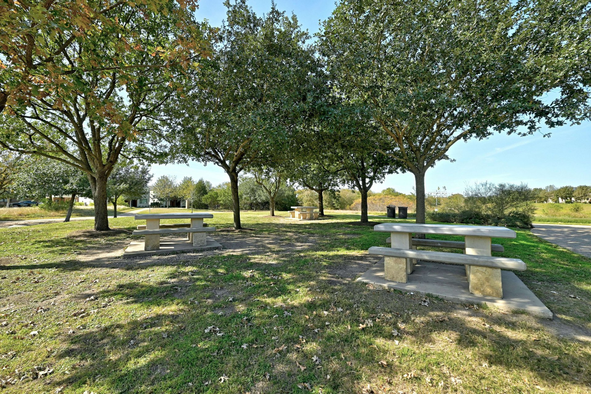 2017 Antone Street 