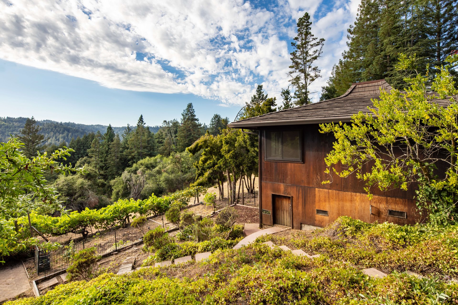 24159 Summit Woods Drive
