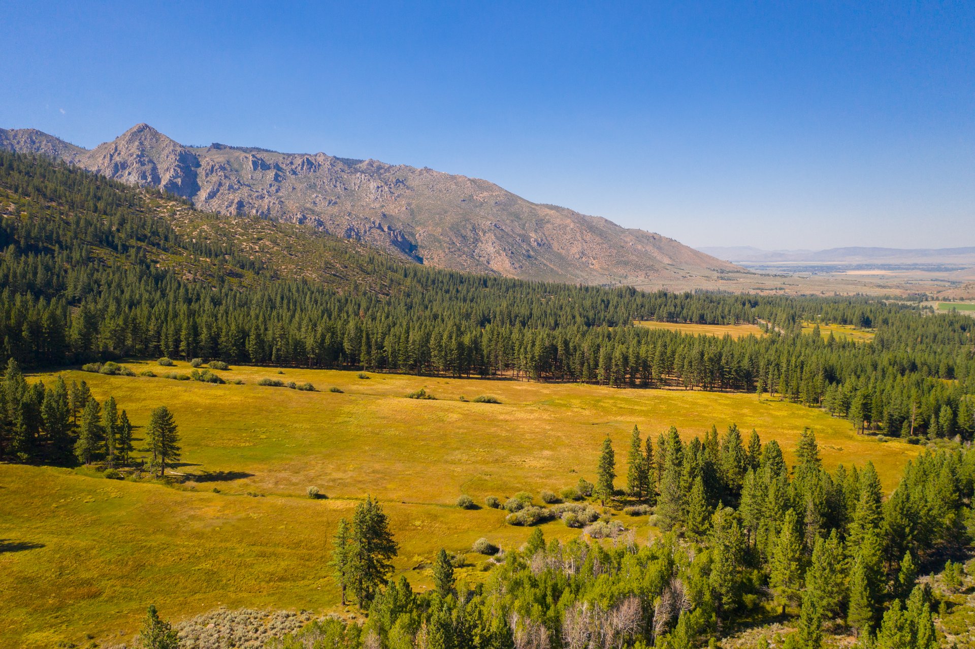 Randall Springs Ranch