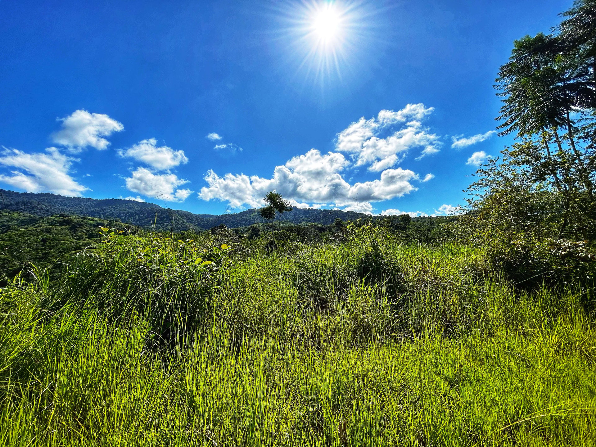 Exclusive Two-Lot Oasis: Your Dream Home Awaits in Gated Paradise!