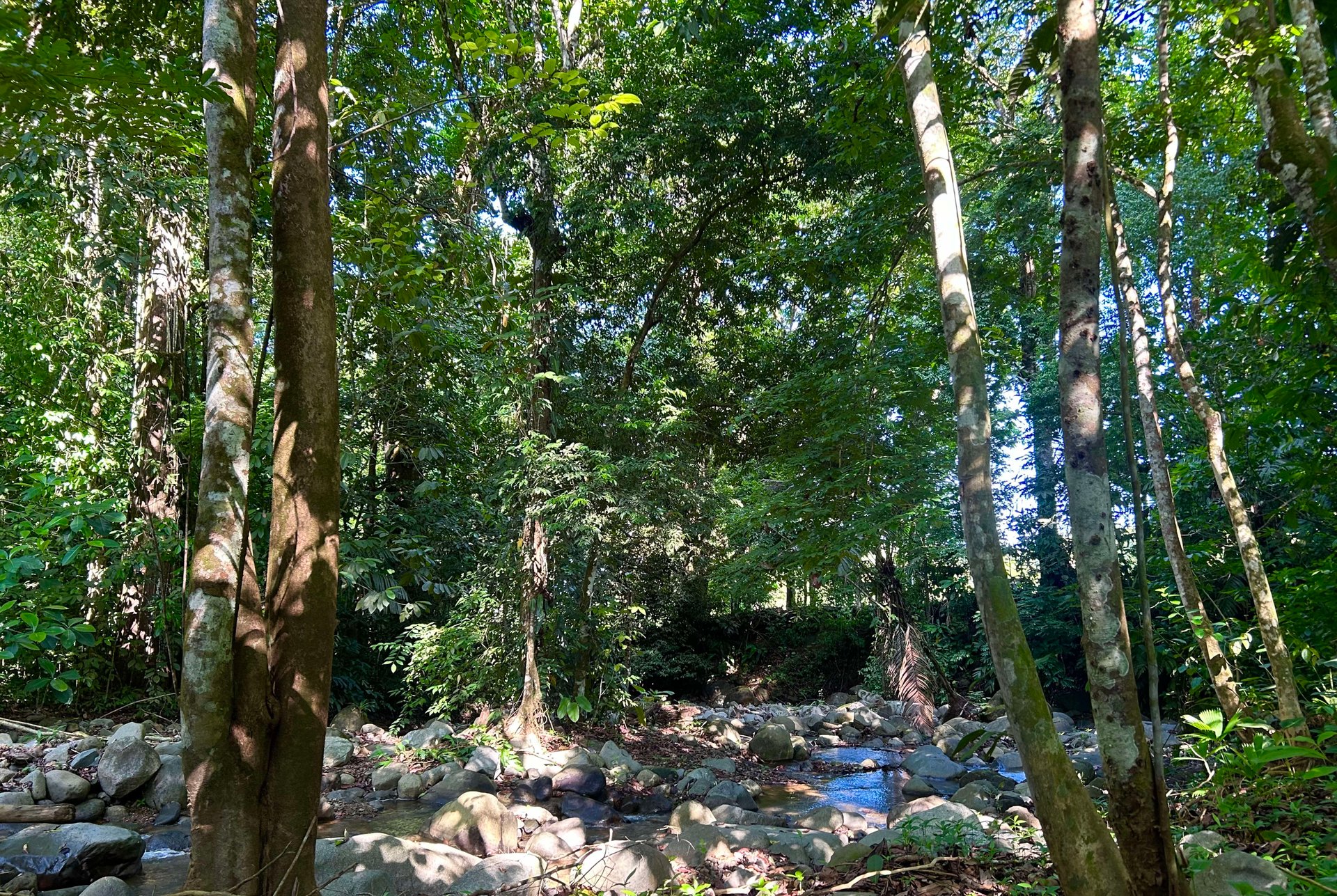 Surfer's Dream in Ojochal; 3 Bedrooms, 2 Bathrooms with Pool and River Access