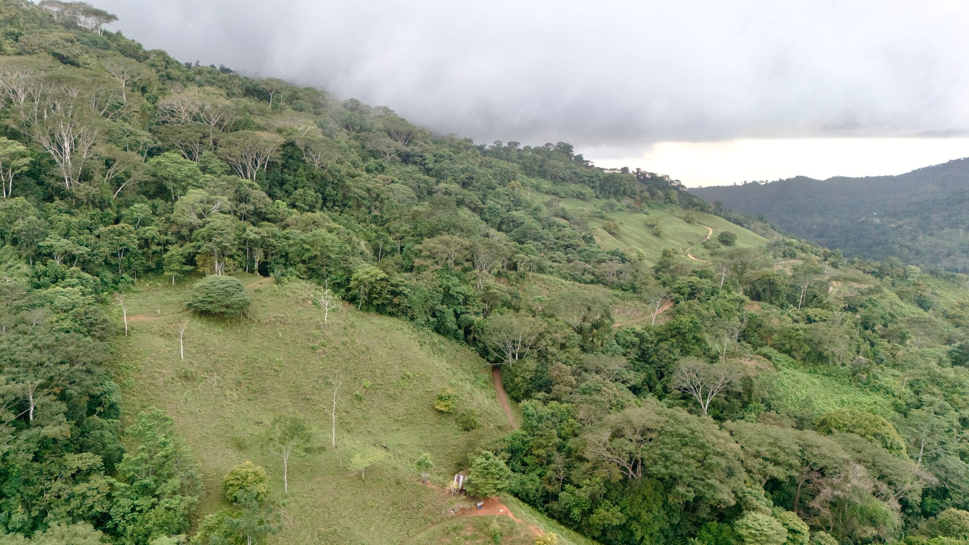 Over 123 Acres Farm in San Josecito De Morete, in Uvita Mountains