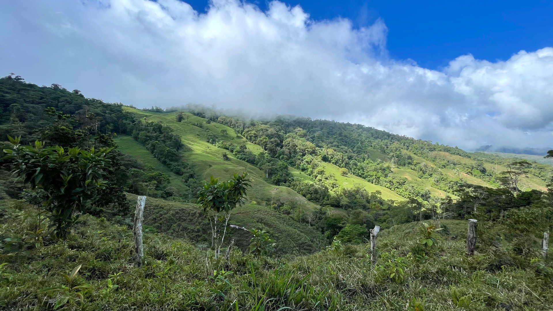 OVER 14 ACRES FARM IN ALTO DE GUADALUPE