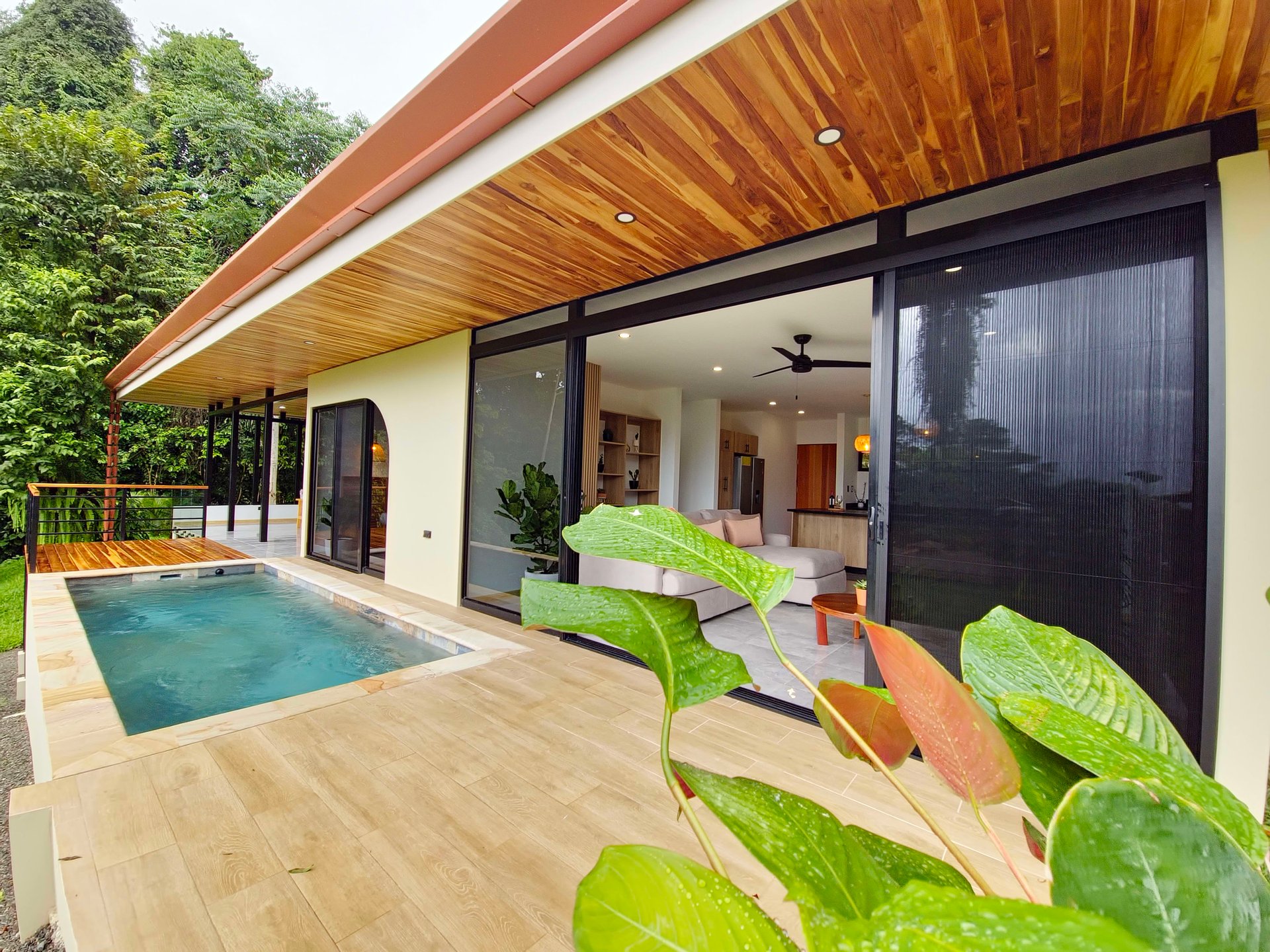 Jungle, Ocean, and exclusive elements to live in the tropics at Casa Elementum