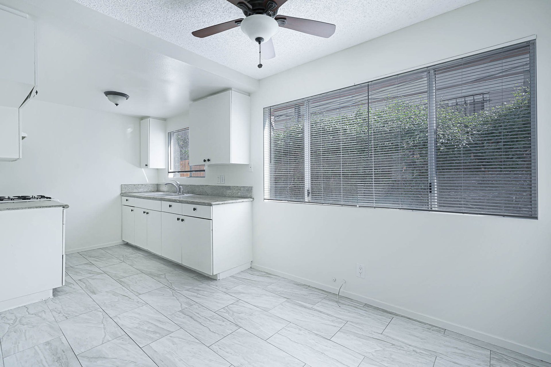 Incredible Triplex Apartment Opportunity near USC. Great Cash Flow. Vacant Lot in Rear for future Development!