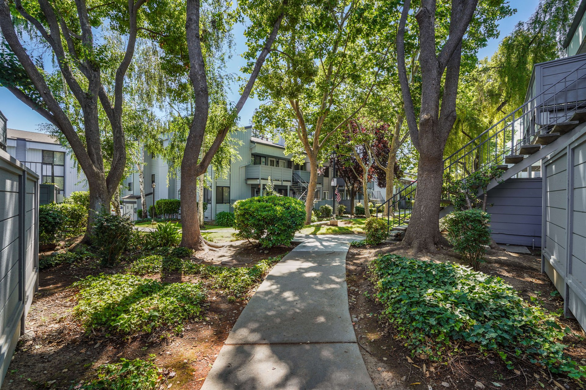 4779 Pine Forest Lane