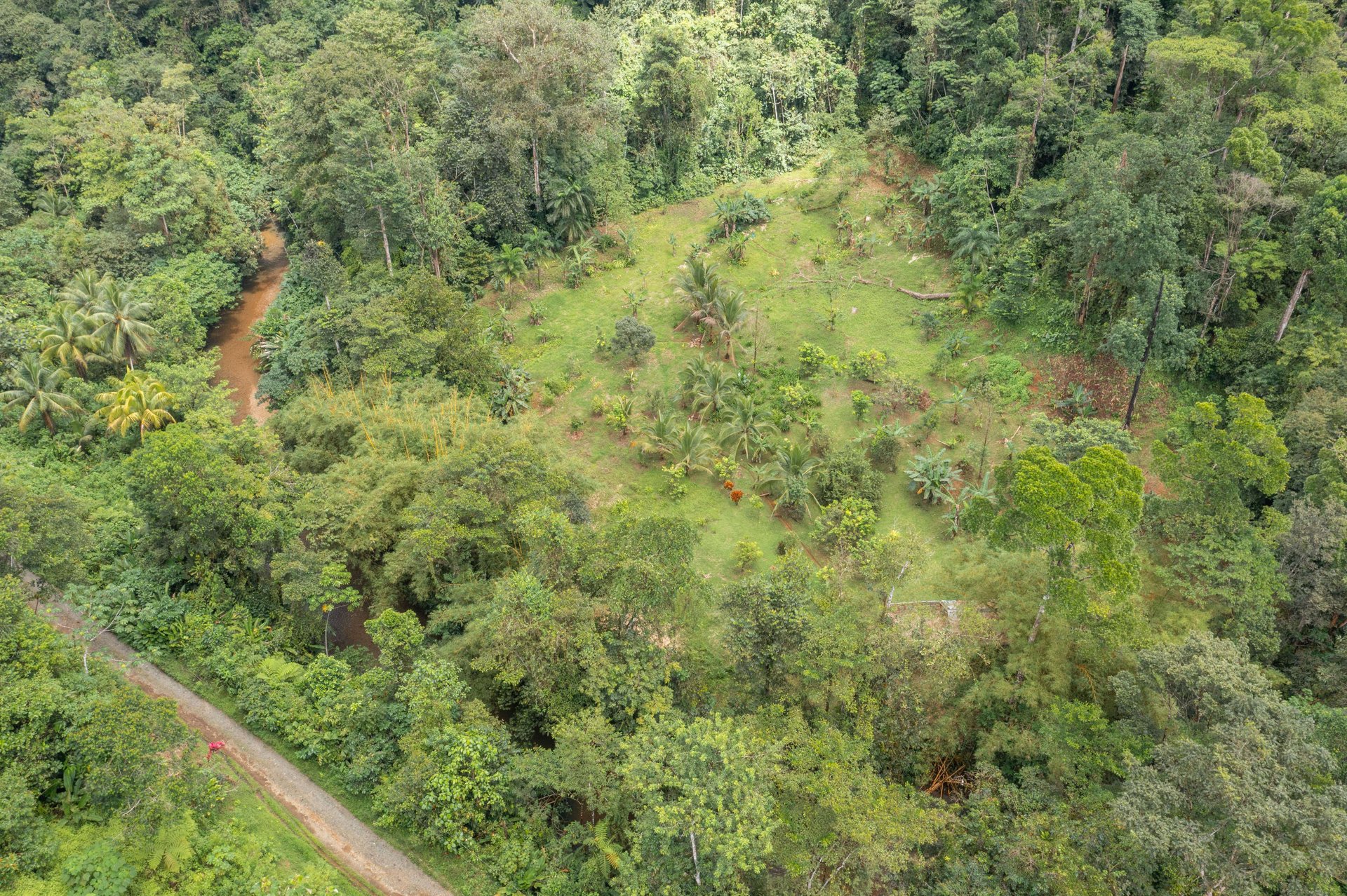Mountain land with ocean view of Manuel Antonio/Quepos Quepos Puntarenas