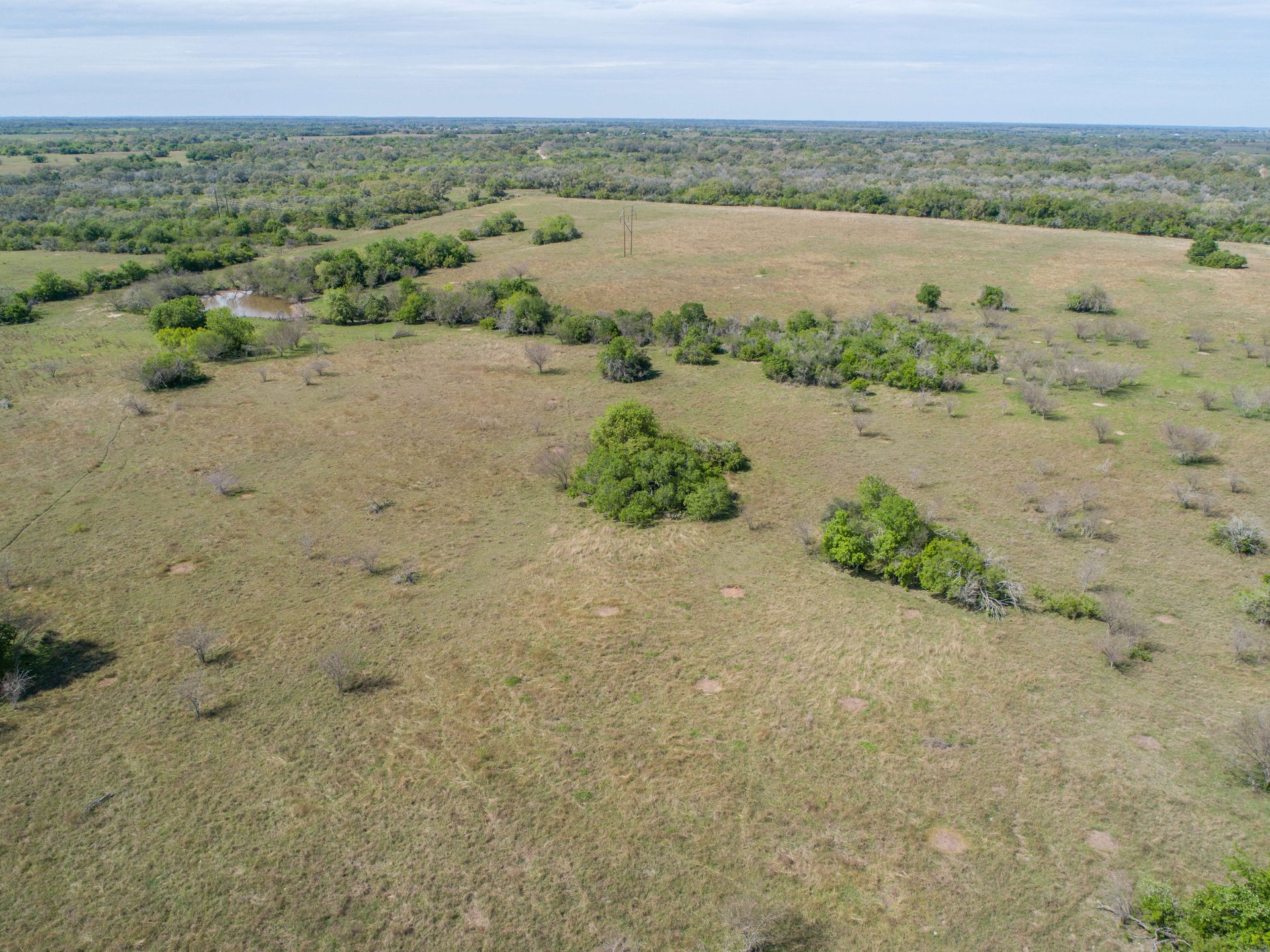 Weesatche 110 Acres
