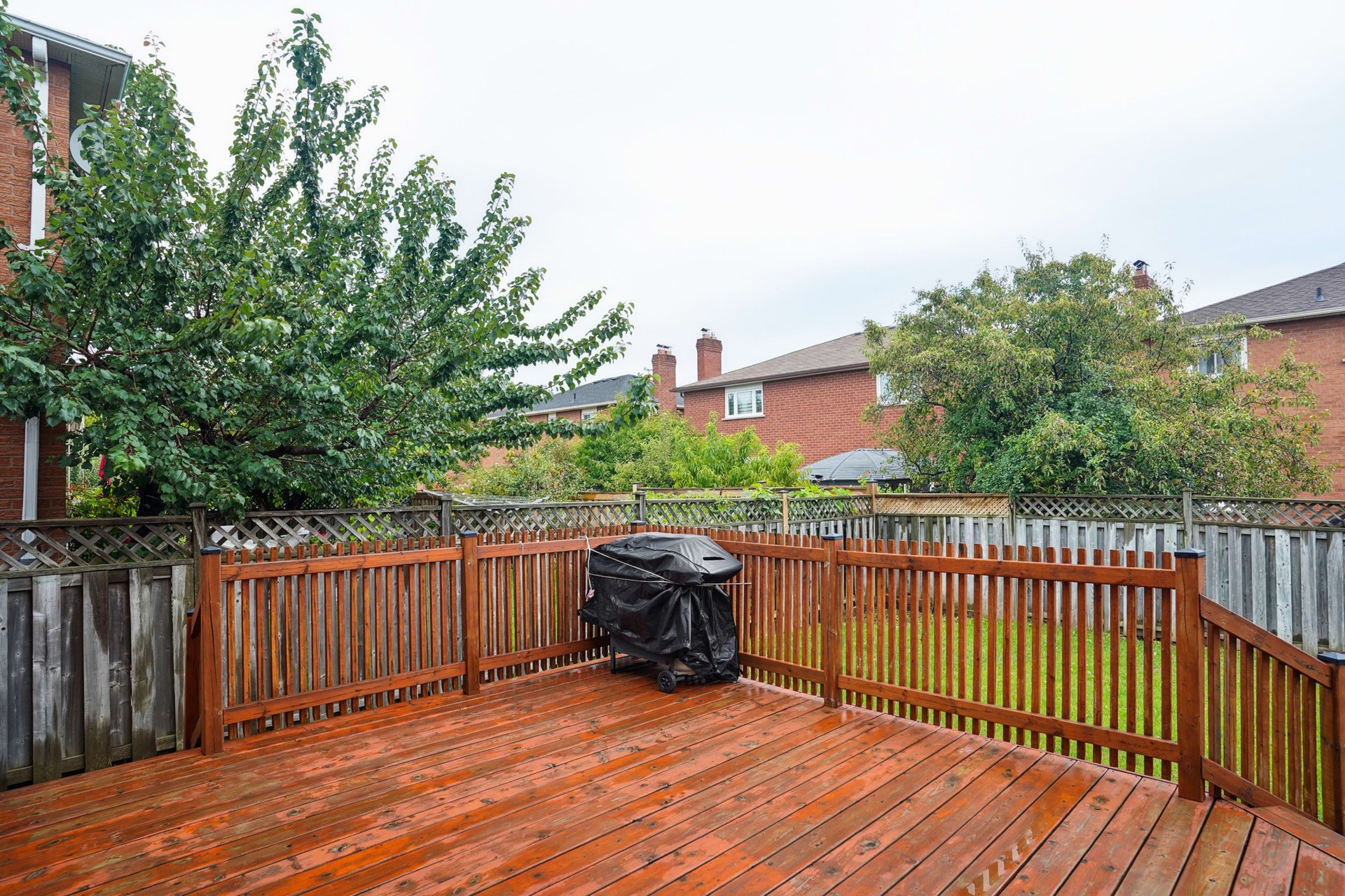 Fully renovated 4 bedroom in great location!