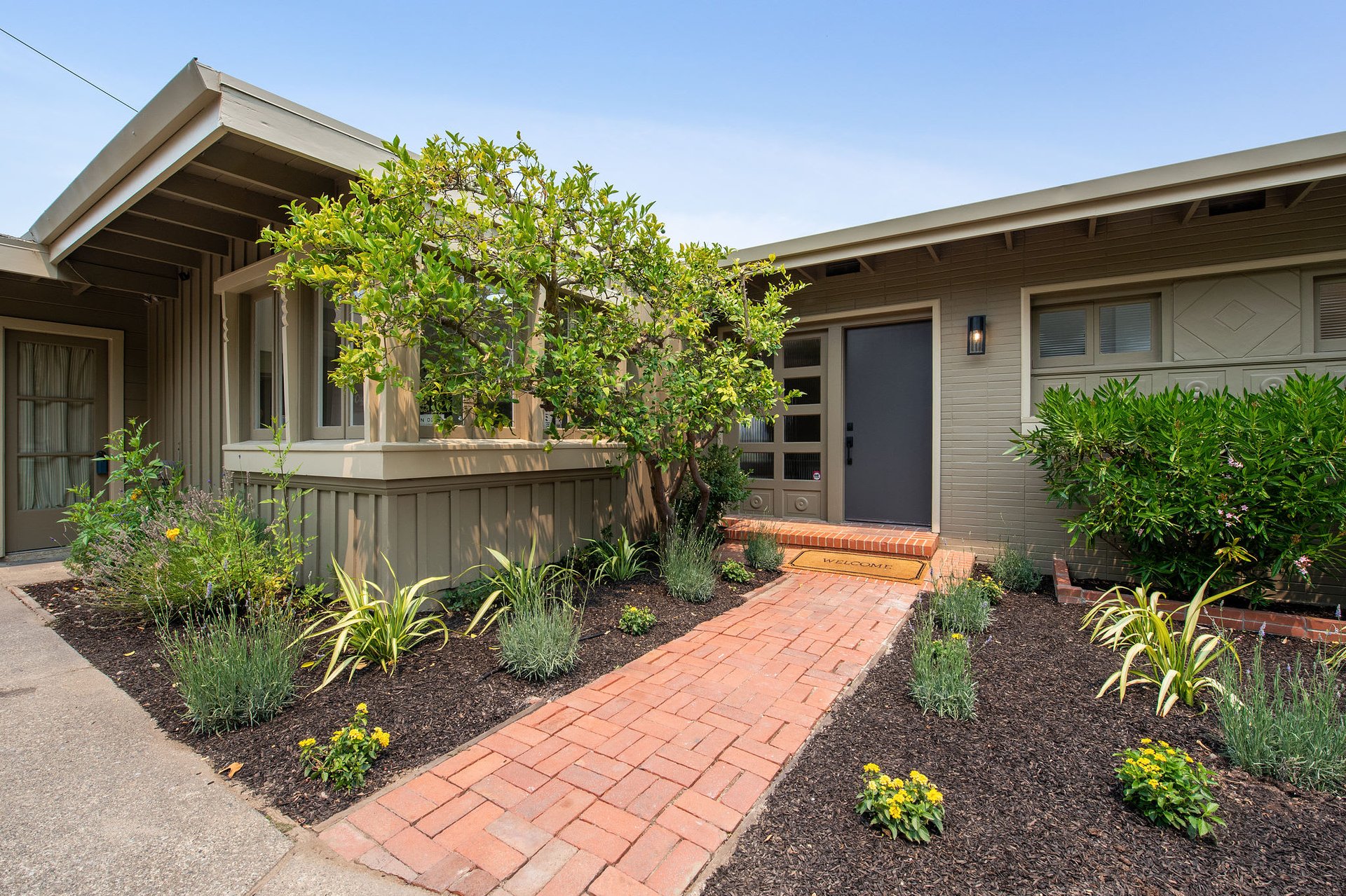 484 Chapman