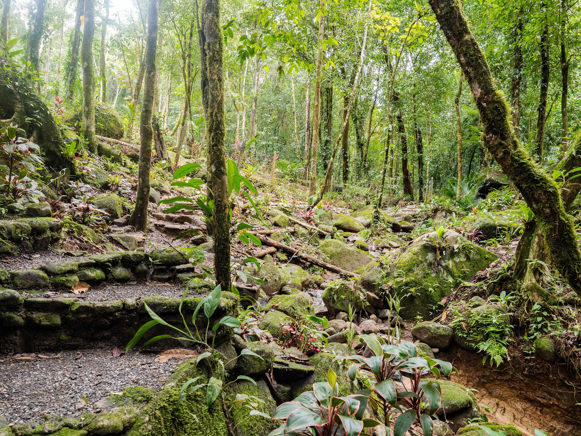 2-Bedroom Jungle Home with River, Waterfall & Pool on 3.8 Acres in Ojochal, Costa Rica