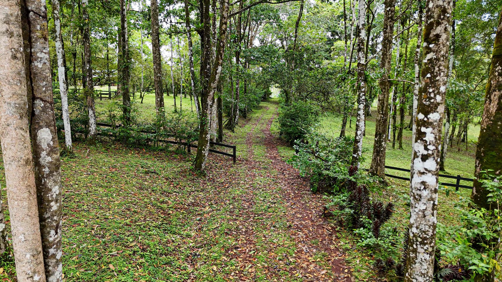 Finca Macadamia | 154-acre Rainforest Paradise with two Houses and Trails!