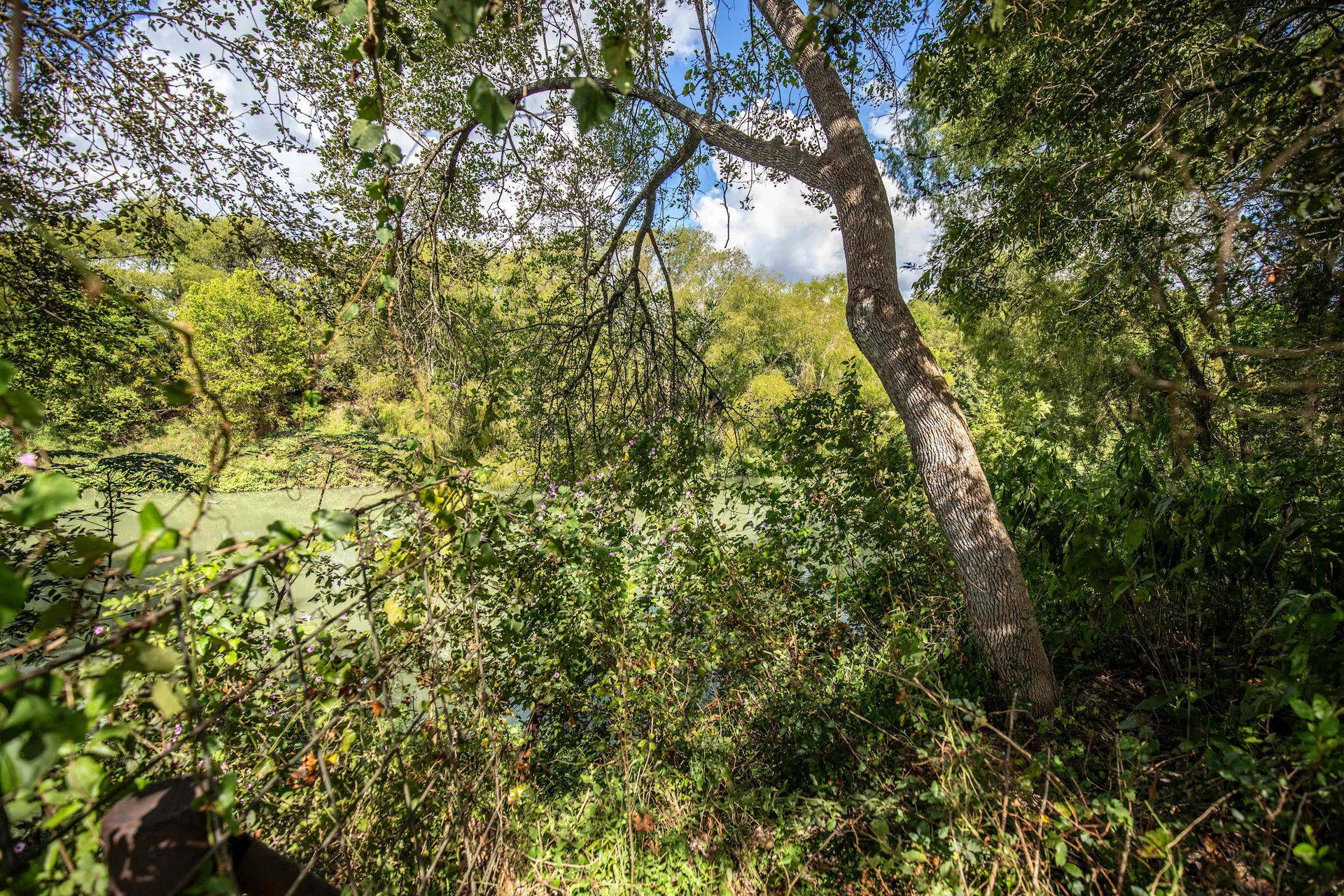 Lovers Lane River Ranch | 140± Acres | DeWitt County