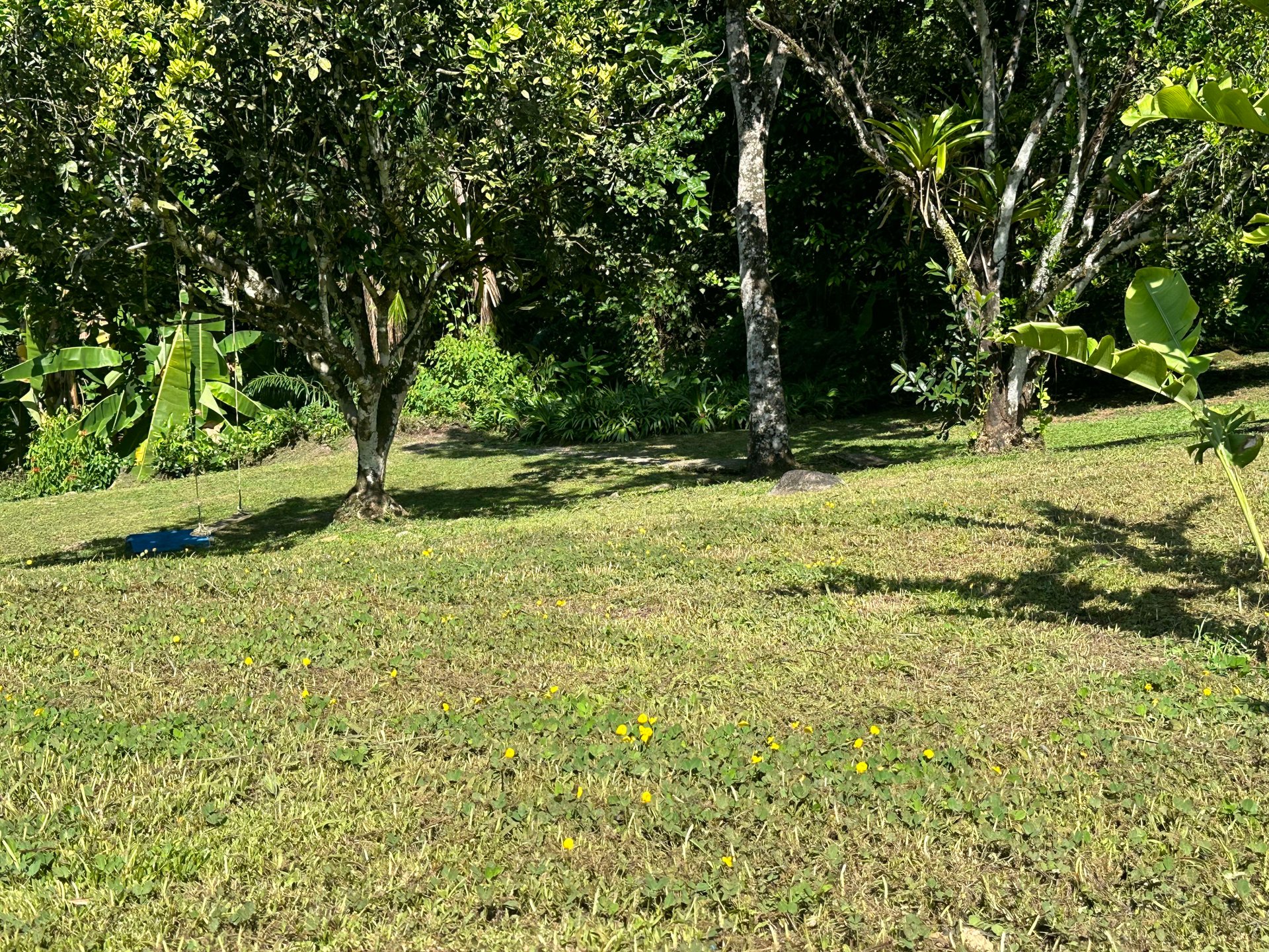 Surfer's Dream in Ojochal; 3 Bedrooms, 2 Bathrooms with Pool and River Access