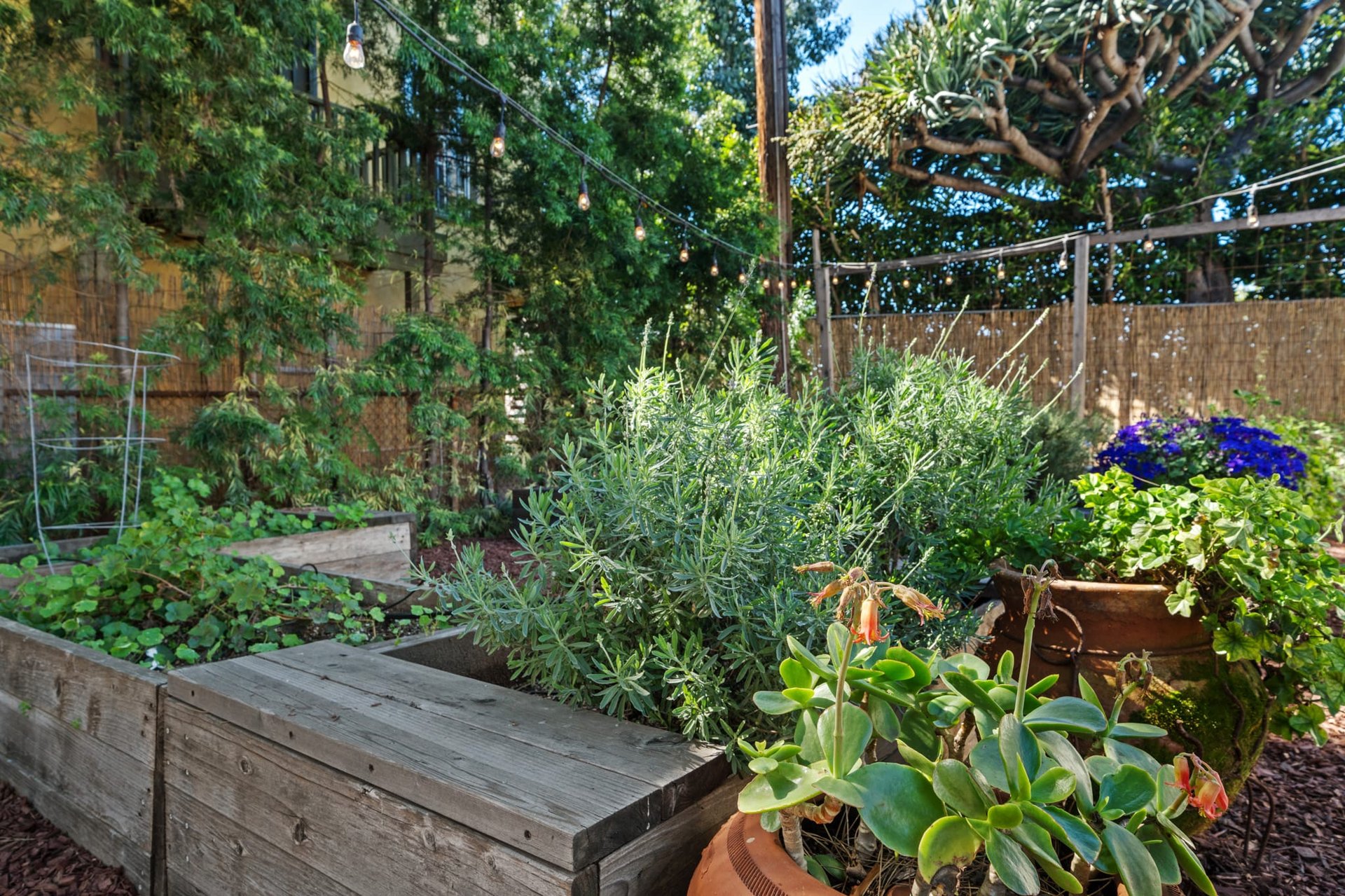 Lovingly Restored Classic Spanish Duplex in Mid-City