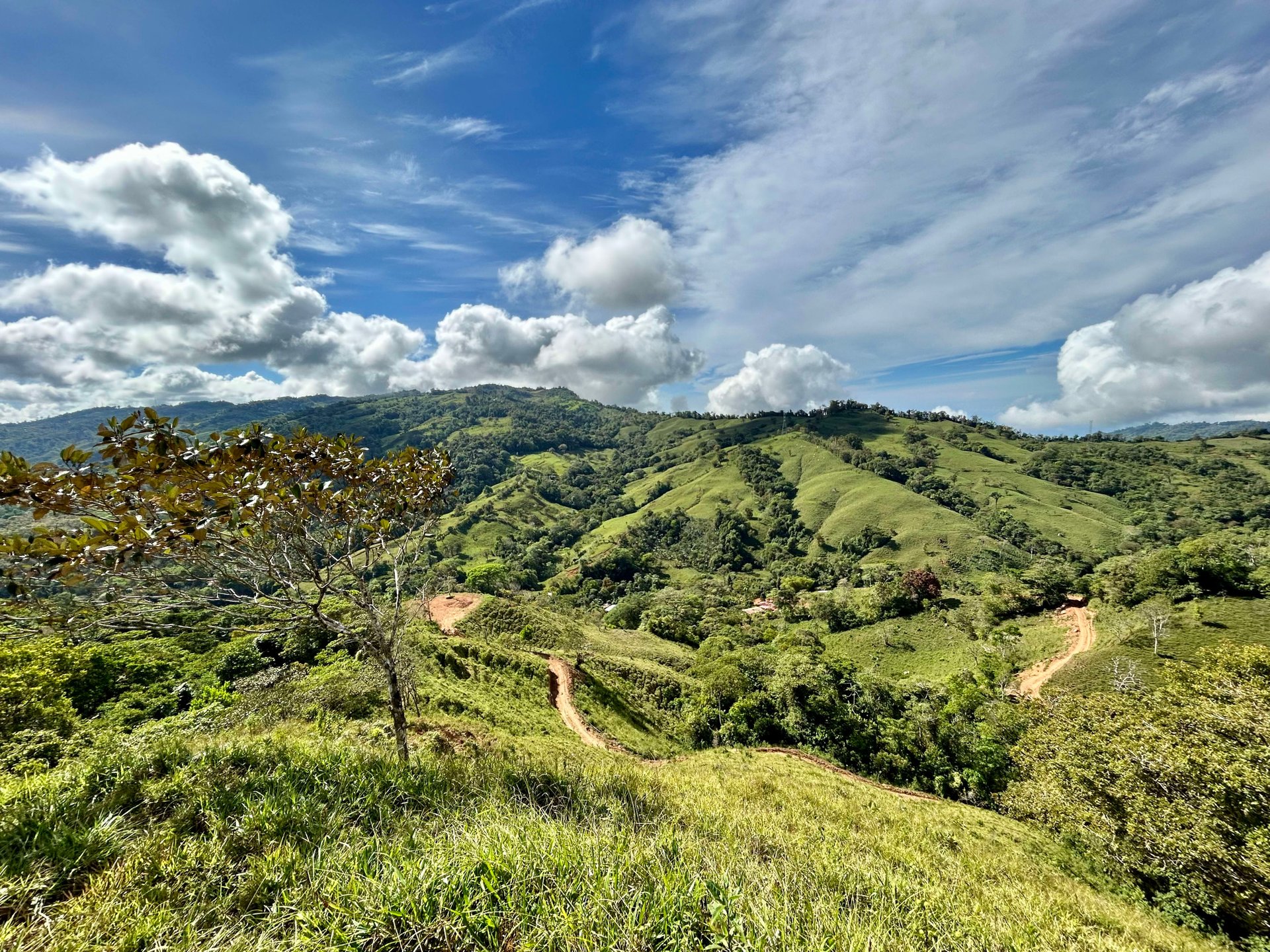 49 Acres Development Farm in San Luis with two Existing Homes 
