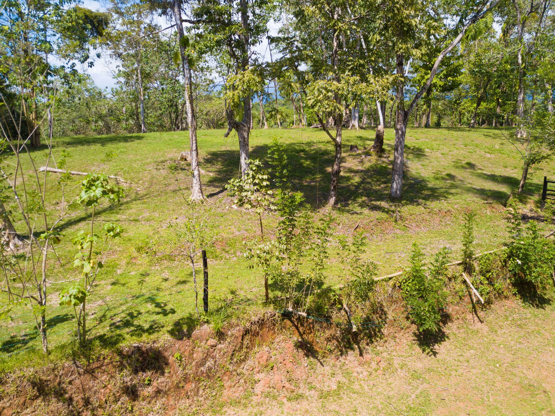 Finca Gloriana Lot 11 or Lot 12