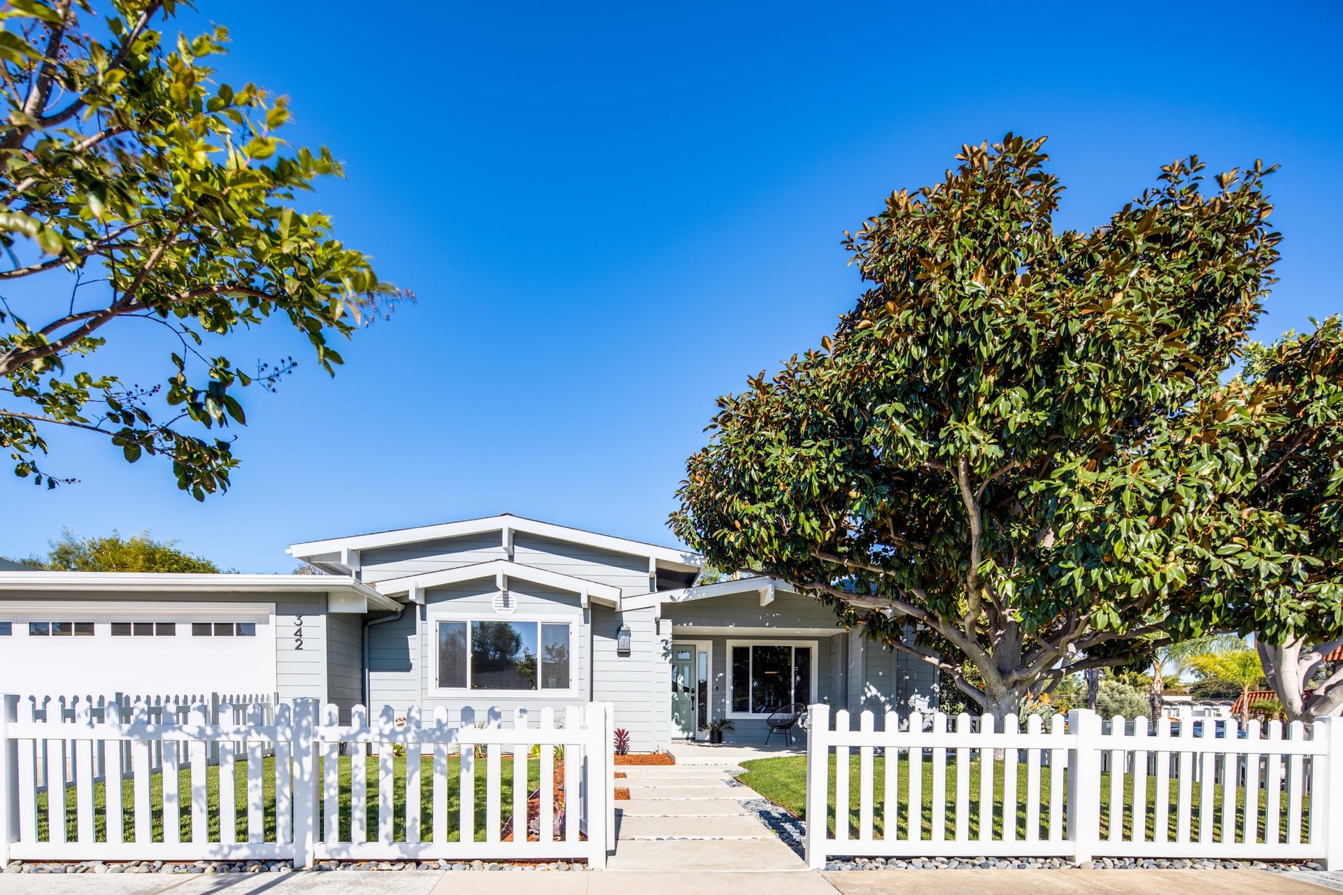 342 Peach Tree