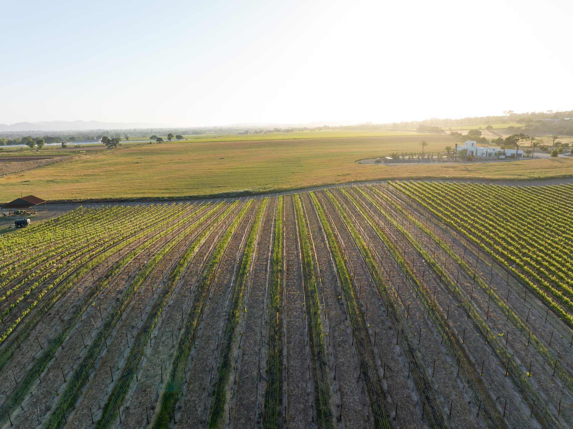 Build your Dream Vineyard Estate