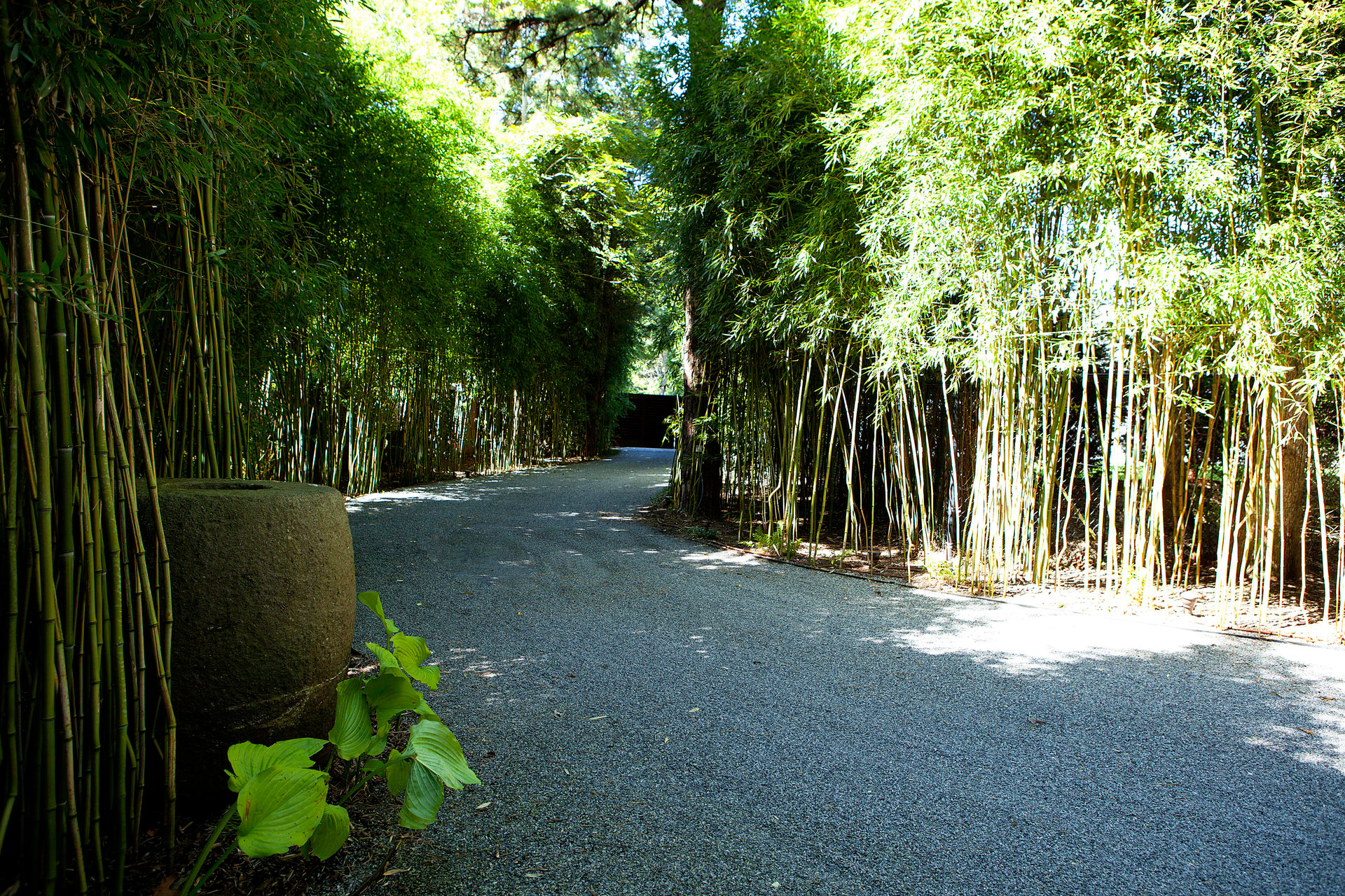 Designer Waldo Fernandez's East Hampton Village Compound