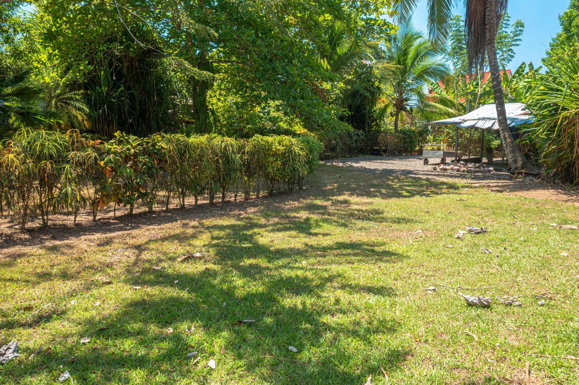 Playa Bandera 2 houses and additional land , 5 minutes from Beach!