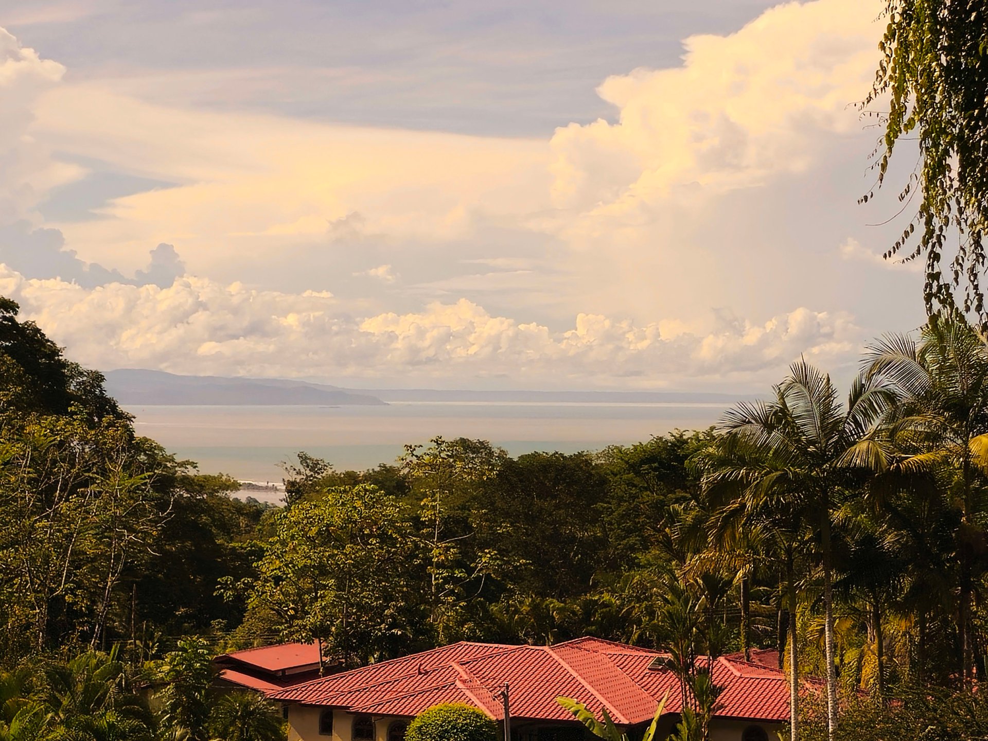 Jungle, Ocean, and exclusive elements to live in the tropics at Casa Elementum