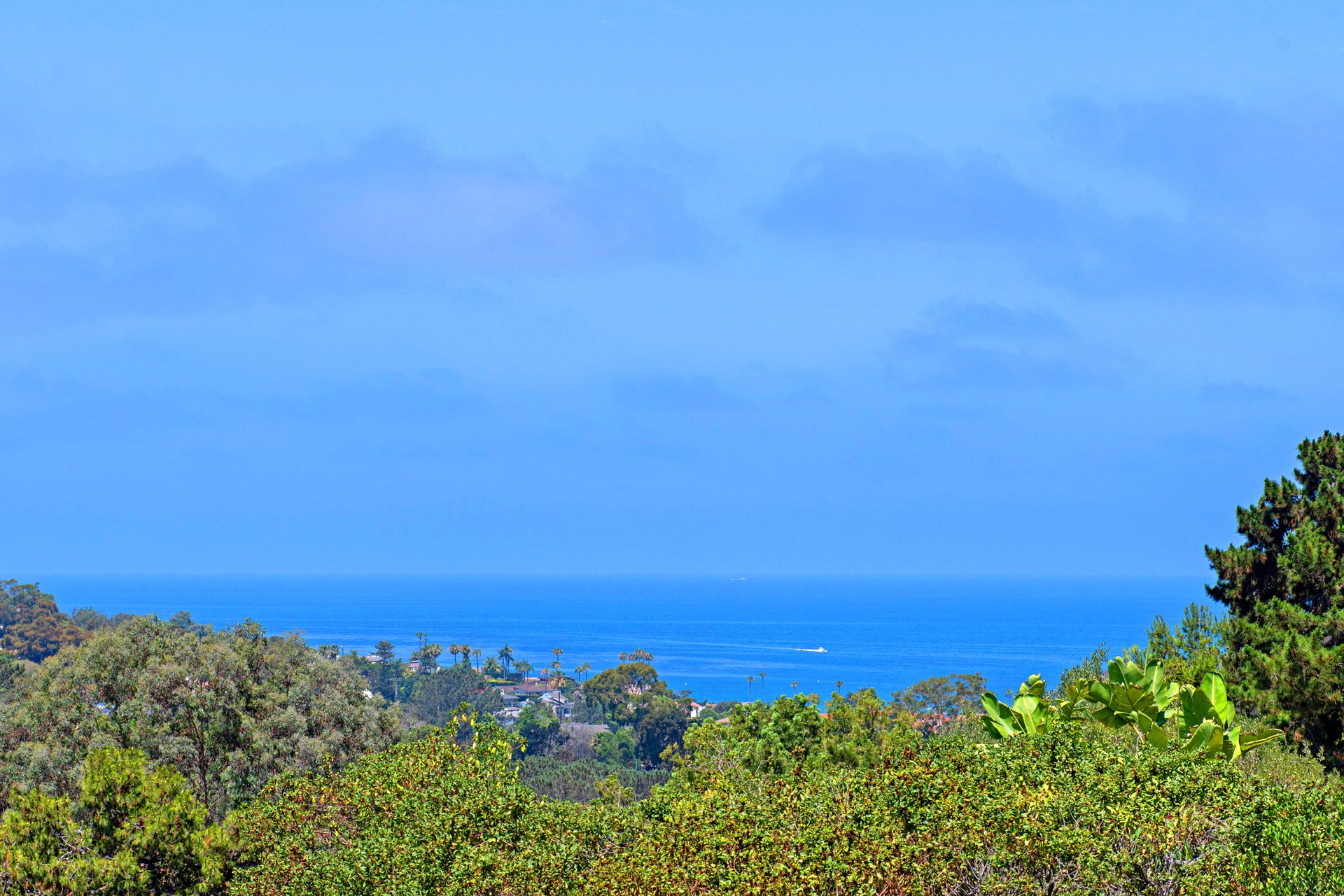 7734 Esterel