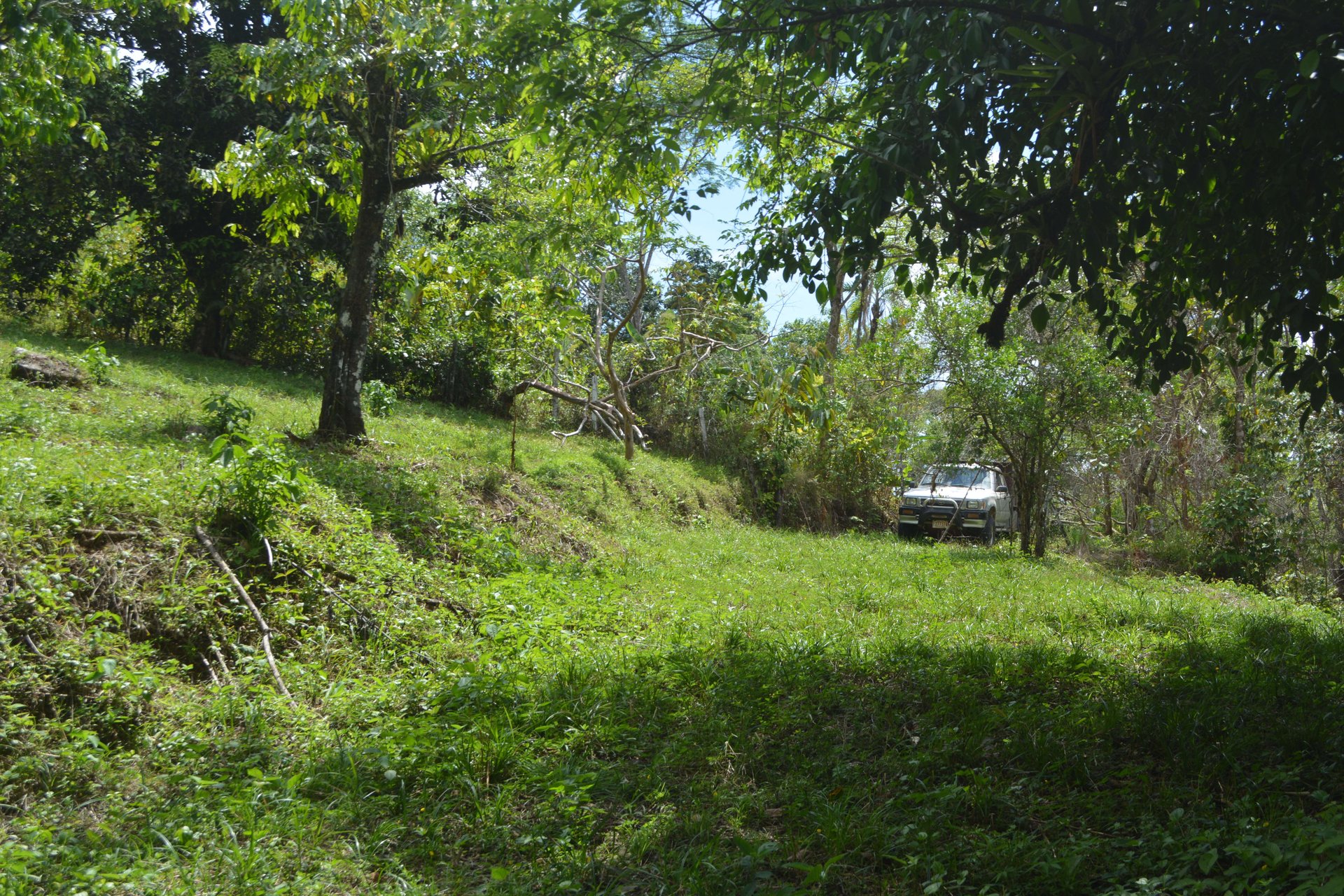 42 Acres With Waterfalls, Ocean Views & Multiple Building Sites Sliencio Ariba