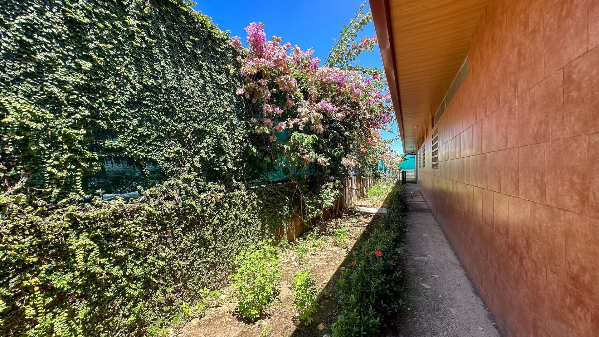 Coastal Bliss in Matapalo, Costa Rica - Your Dream Home Awaits