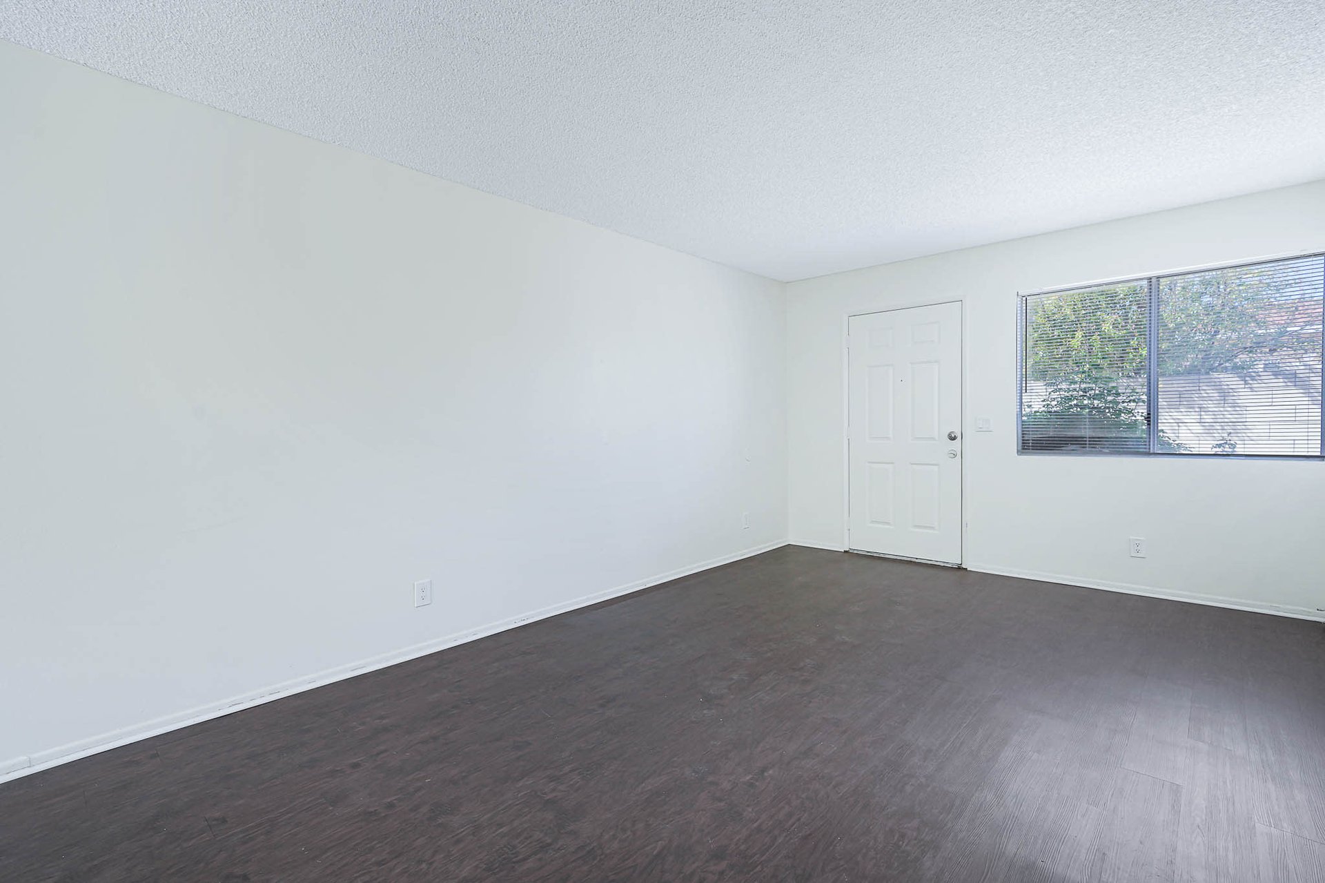 Incredible Triplex Apartment Opportunity near USC. Great Cash Flow. Vacant Lot in Rear for future Development!