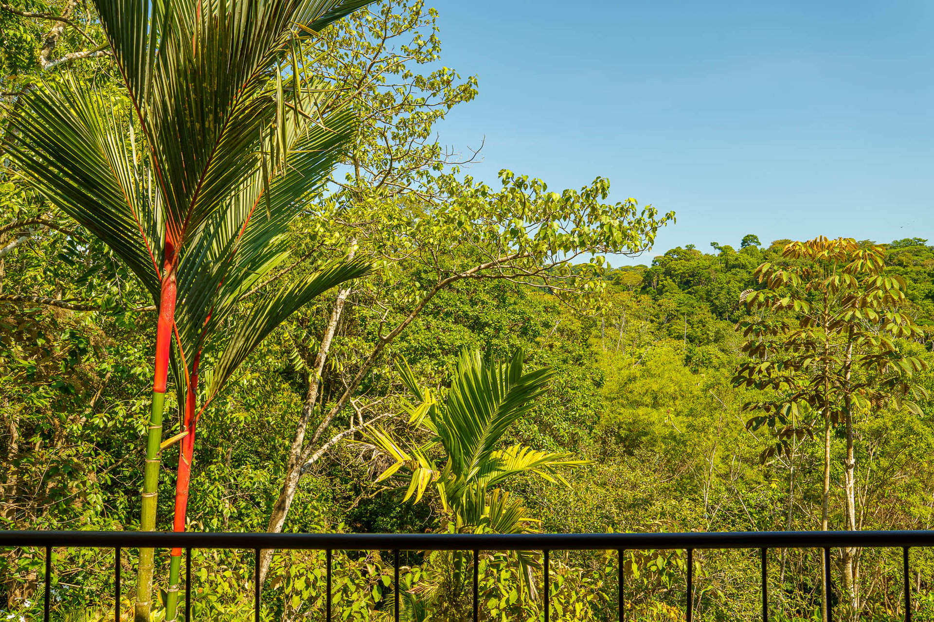 Peaceful Casa Colibrí