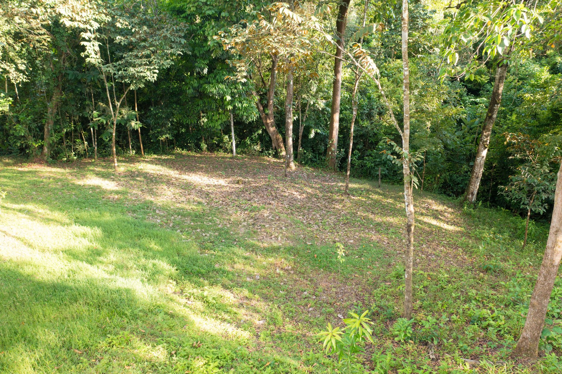 Affordable & Charming 1 bedroom Villa with Pool in gated community, immersed in the rainforest close to Quepos  