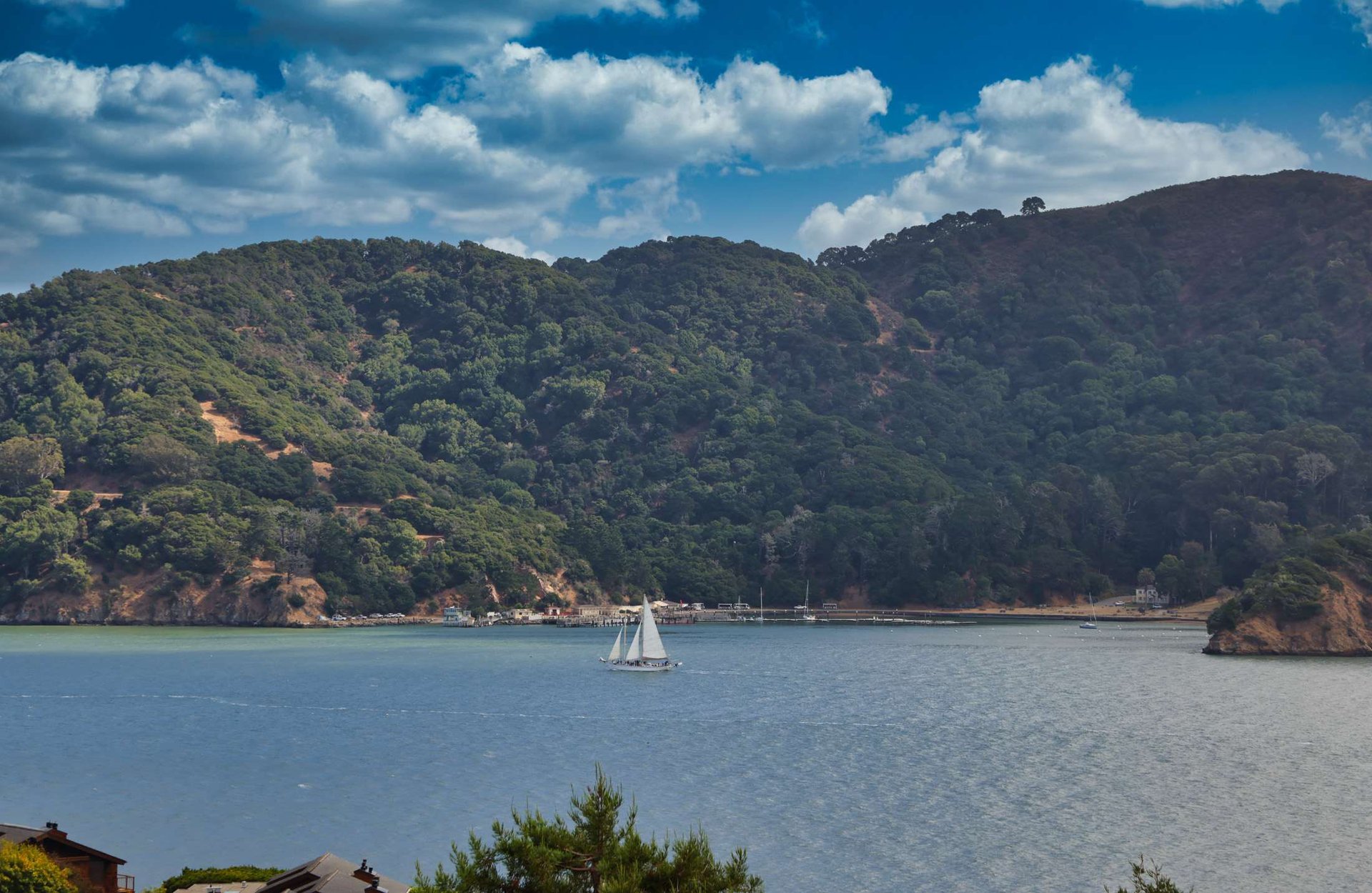 Old Town Tiburon Duplex with Sweeping Views