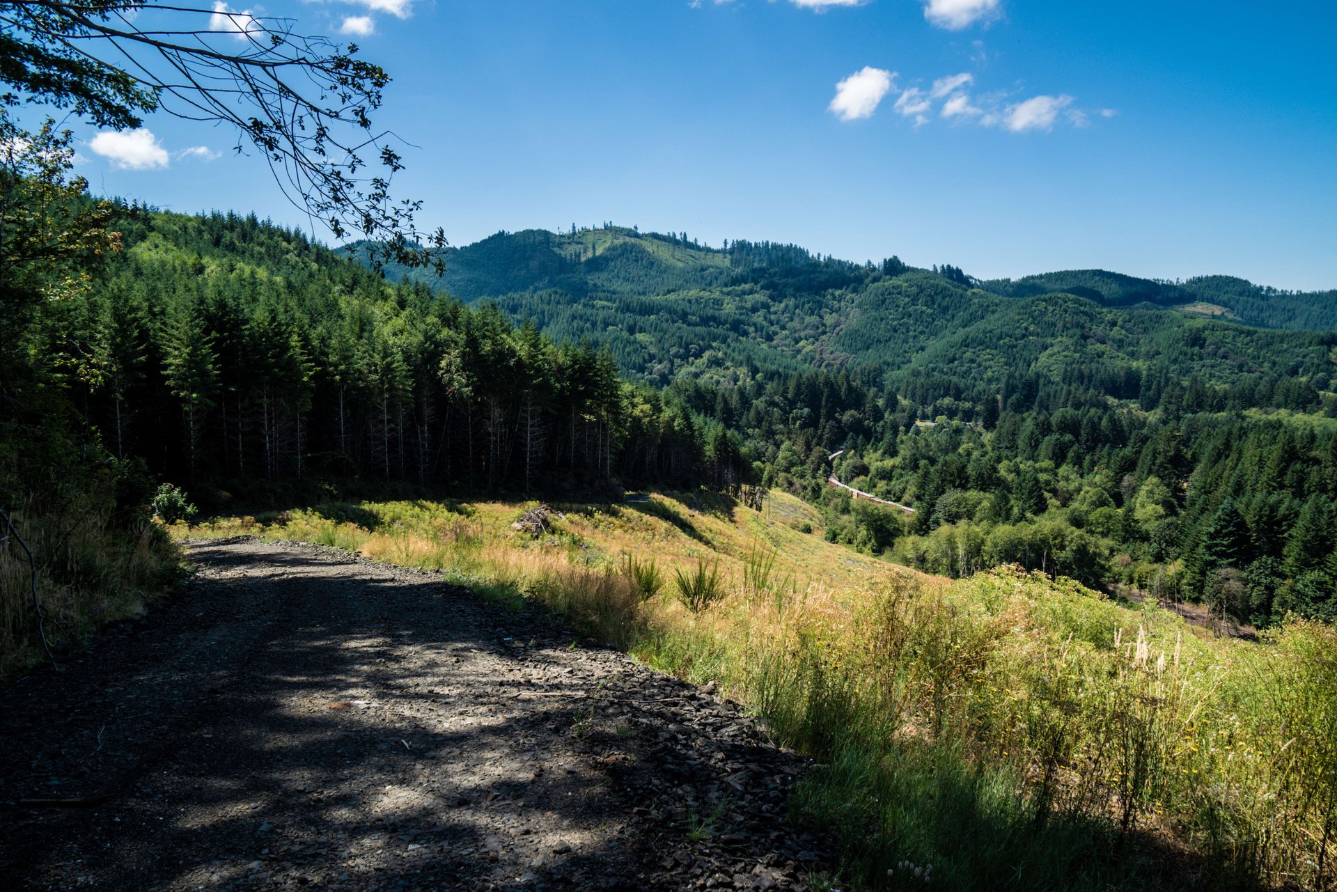 Eddyville/Sam's Creek Sealed Bid Offering (No Published Reserve) 