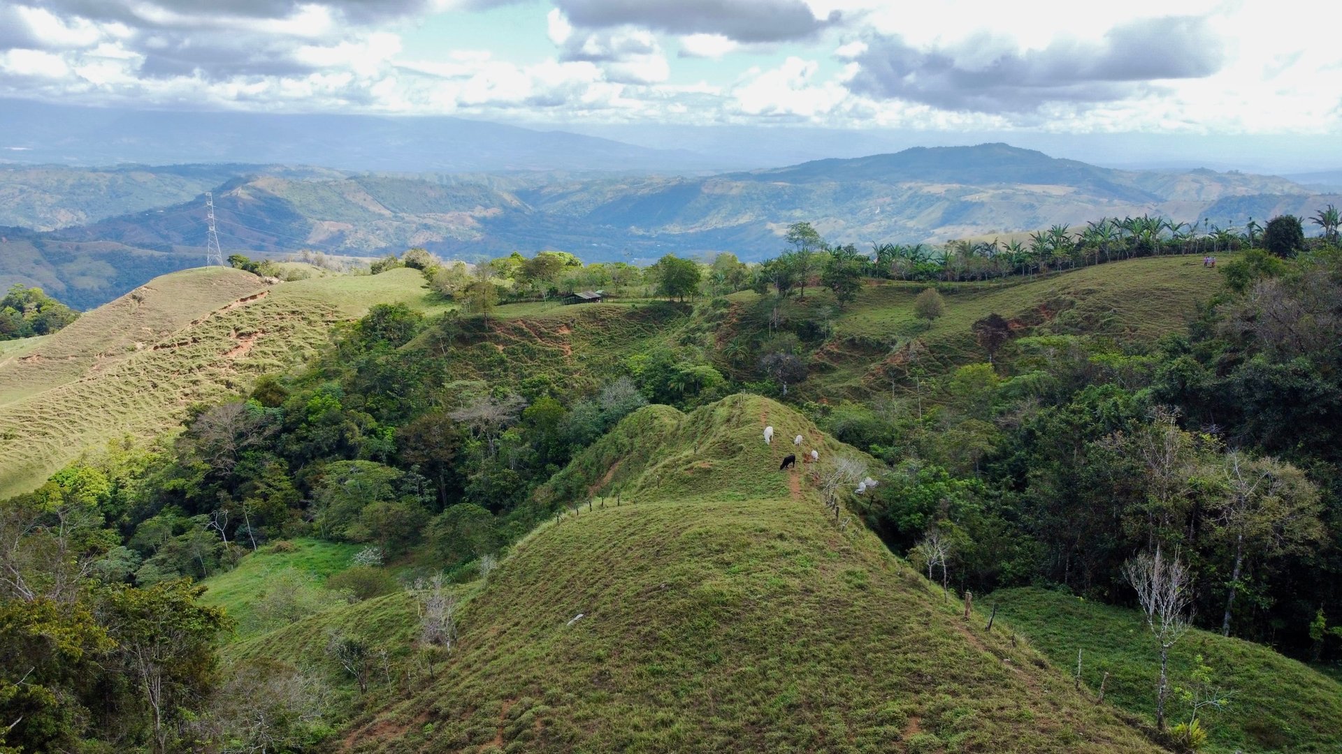 OVER 14 ACRES FARM IN ALTO DE GUADALUPE