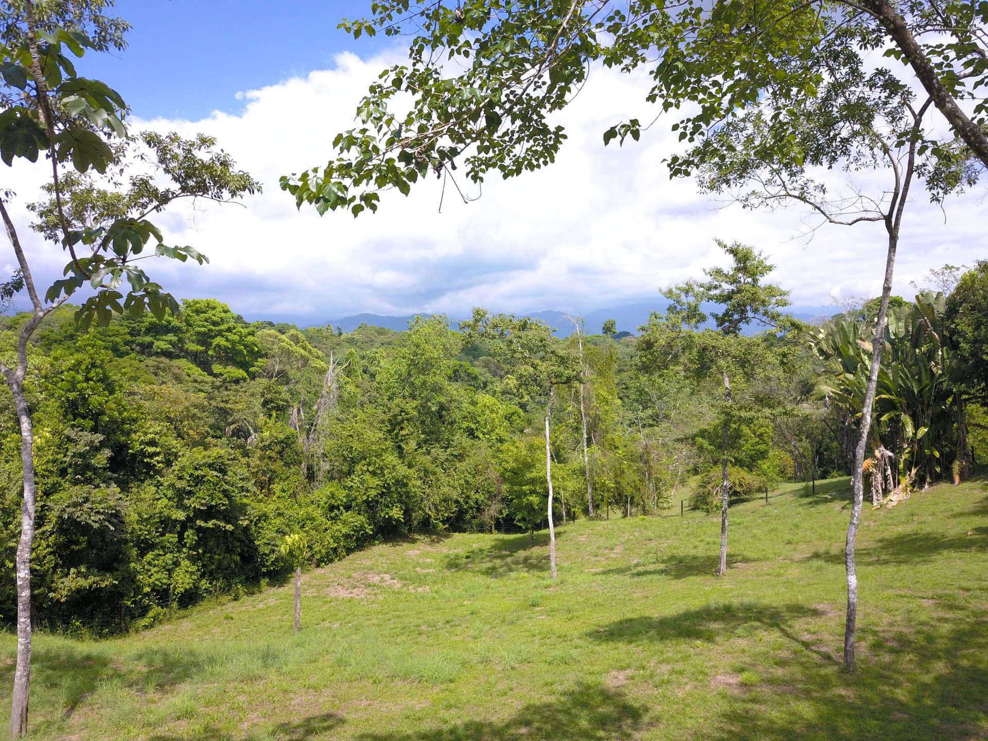 Finca Gloriana Lot 11 or Lot 12