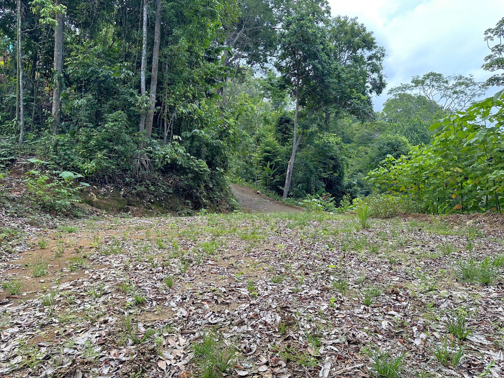 5.77 Acres With 4 Building Sites. Ocean Views, Rivers And Rainforest Abound In Cinco Ventanas! Ojochal 