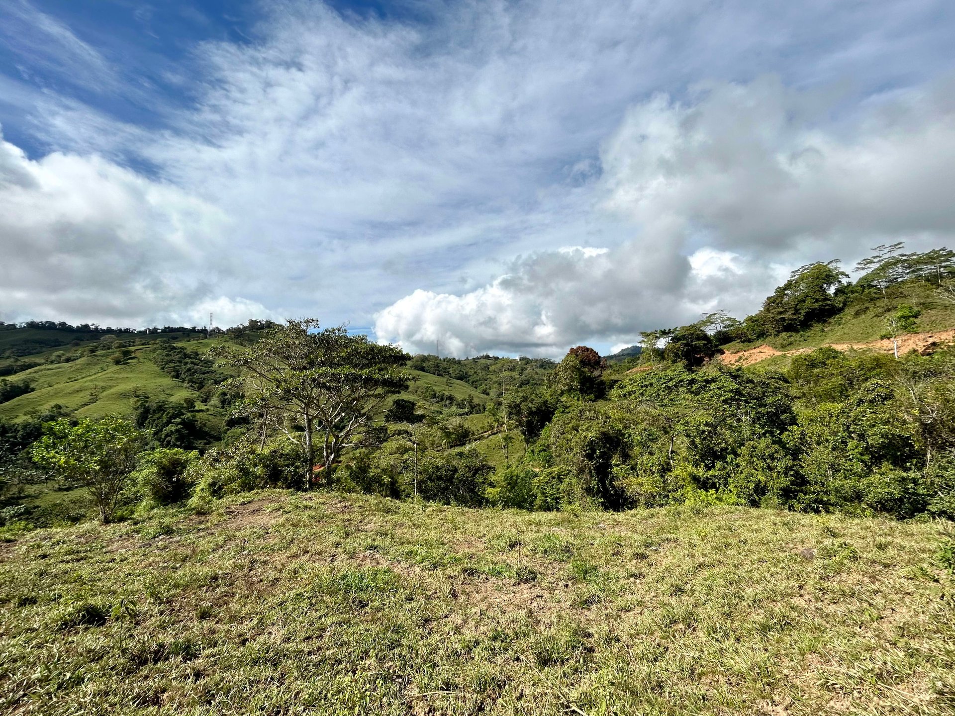 49 Acres Development Farm in San Luis with two Existing Homes 