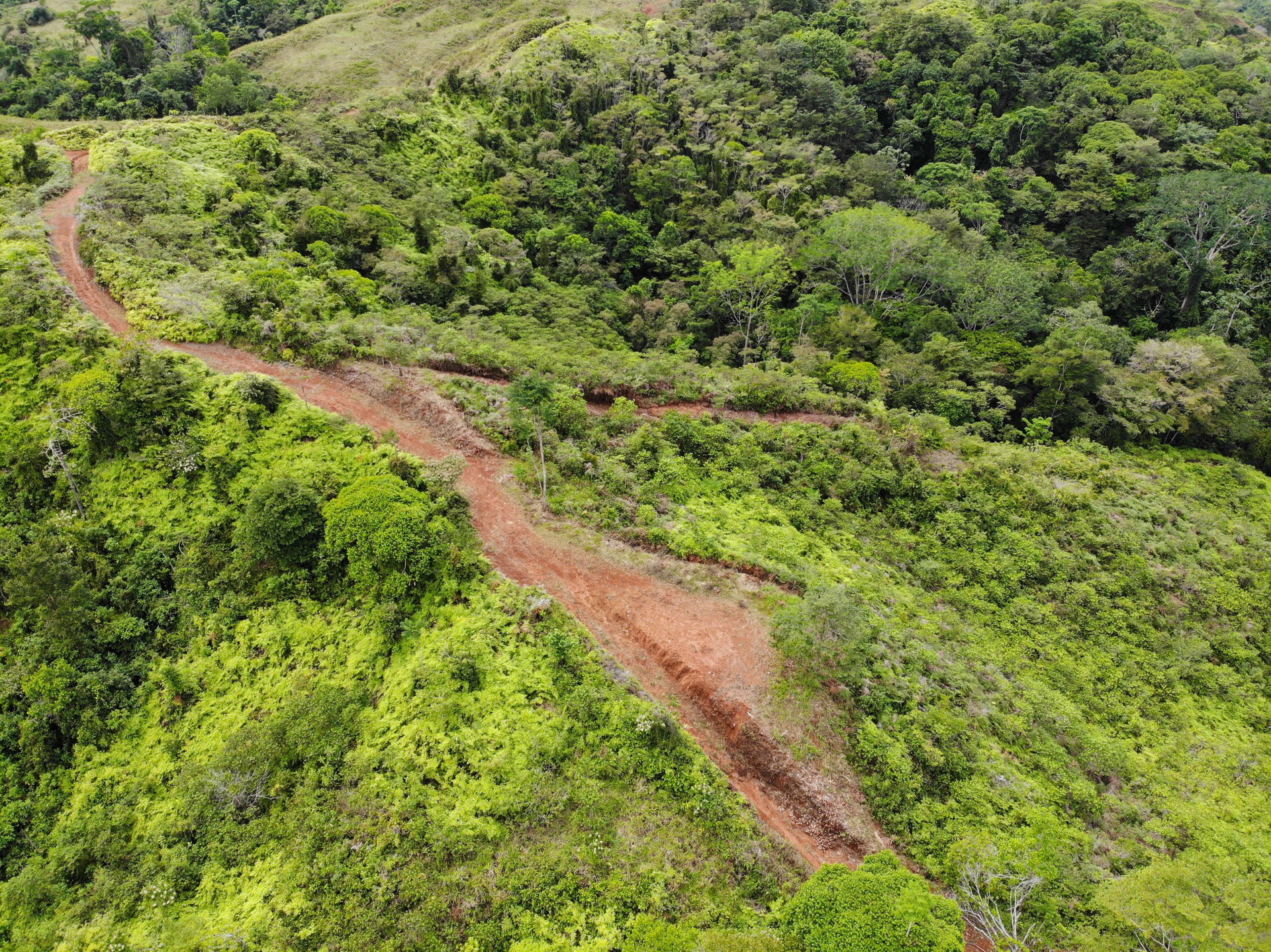 Sierpe Sunset and Jungle Views, 10 Acre Property, OSA!