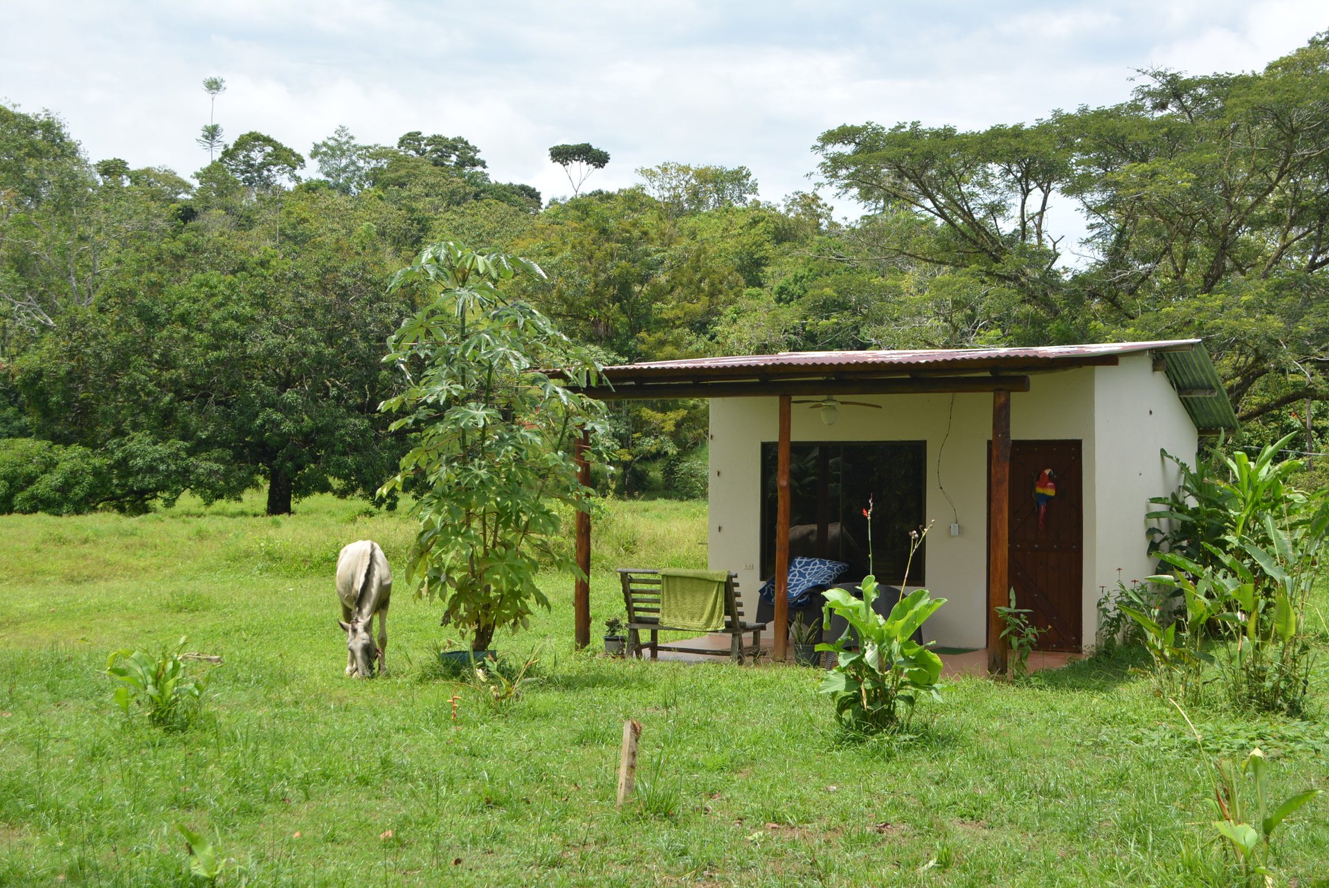 10 Acre Rio Sierpe Paradise Residential And Cabinas