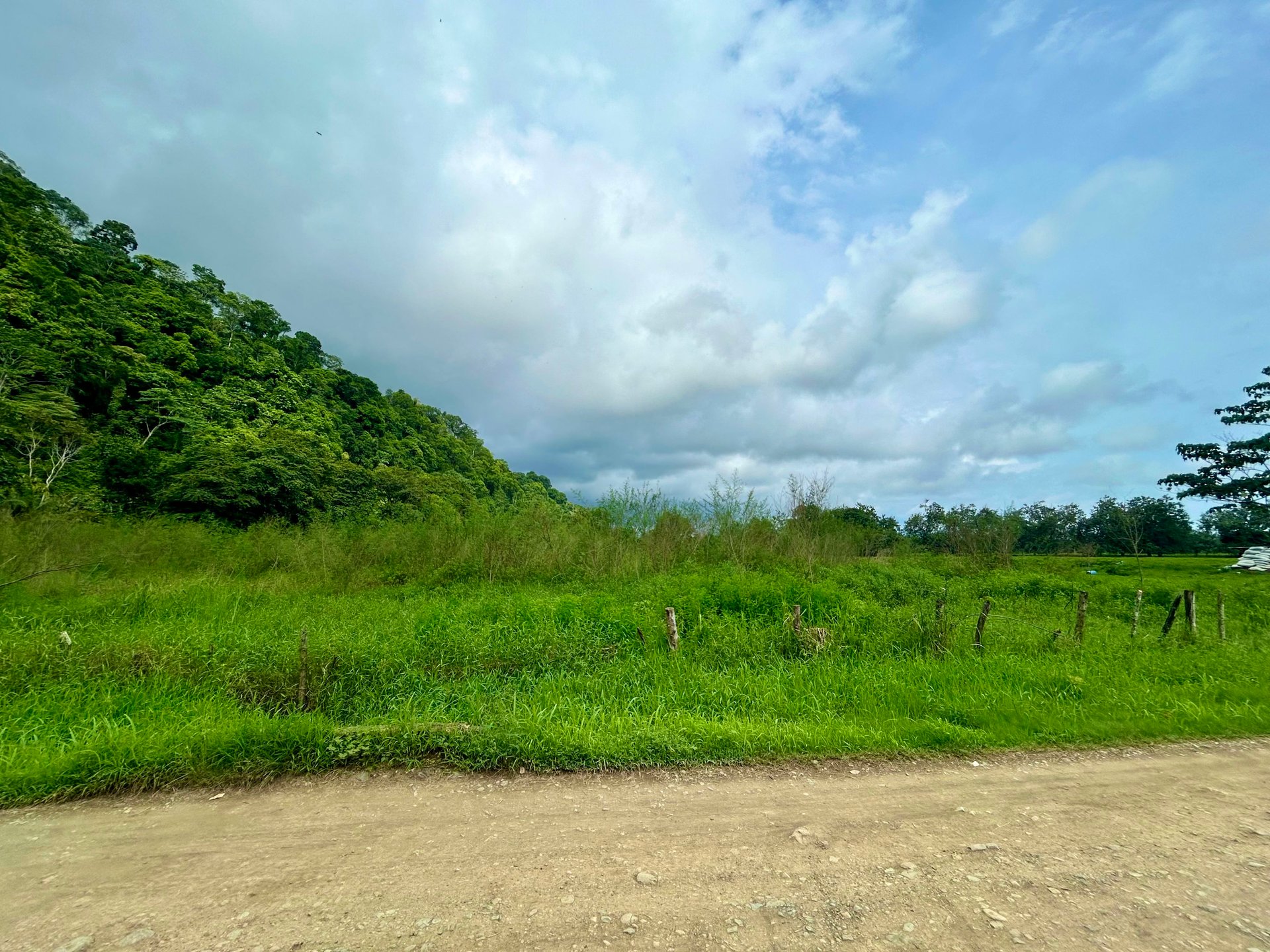 Fire Sale – Over 12 Acres of Land with Public Road Frontage Near Ojochal