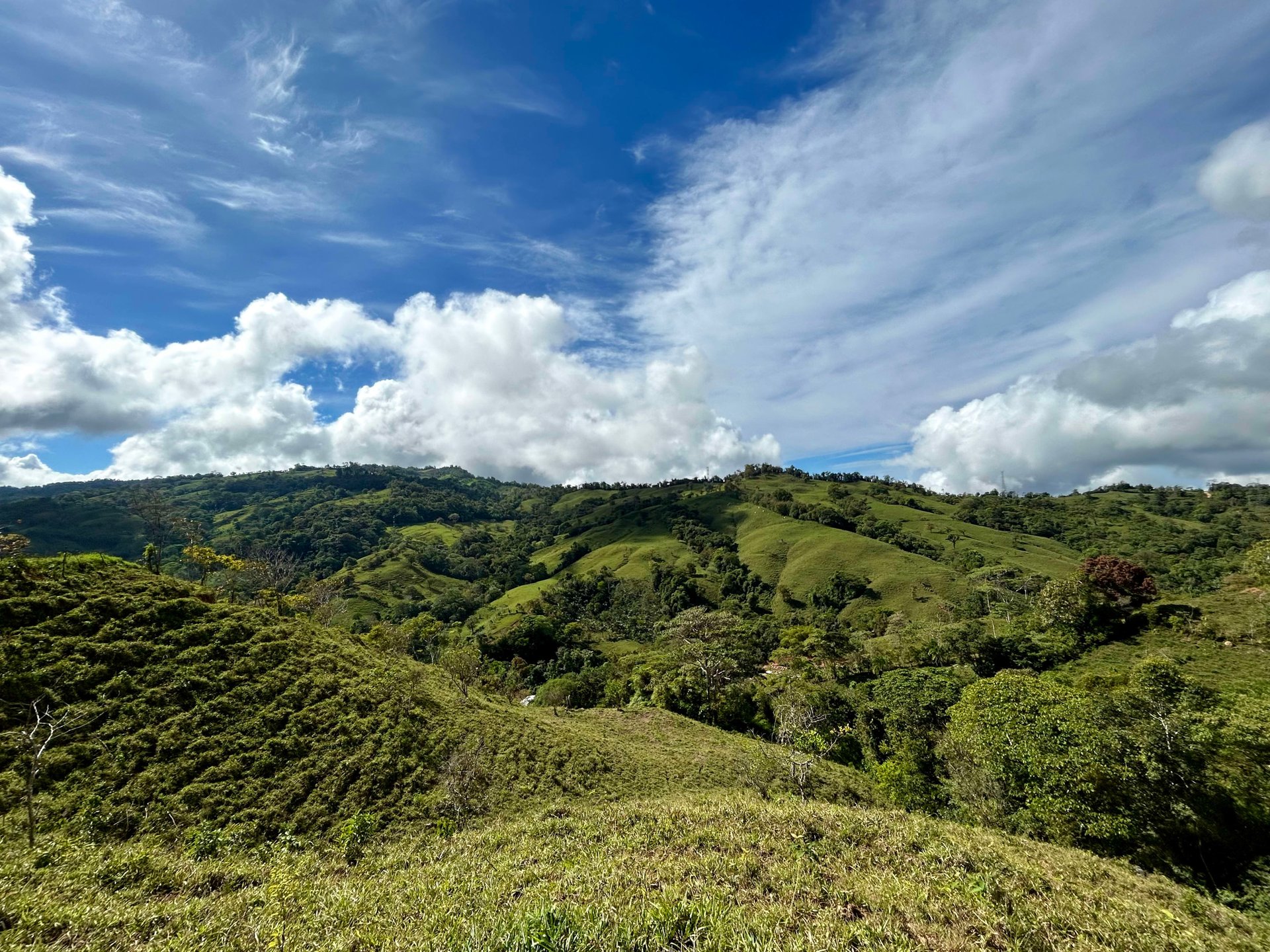 49 Acres Development Farm in San Luis with two Existing Homes 