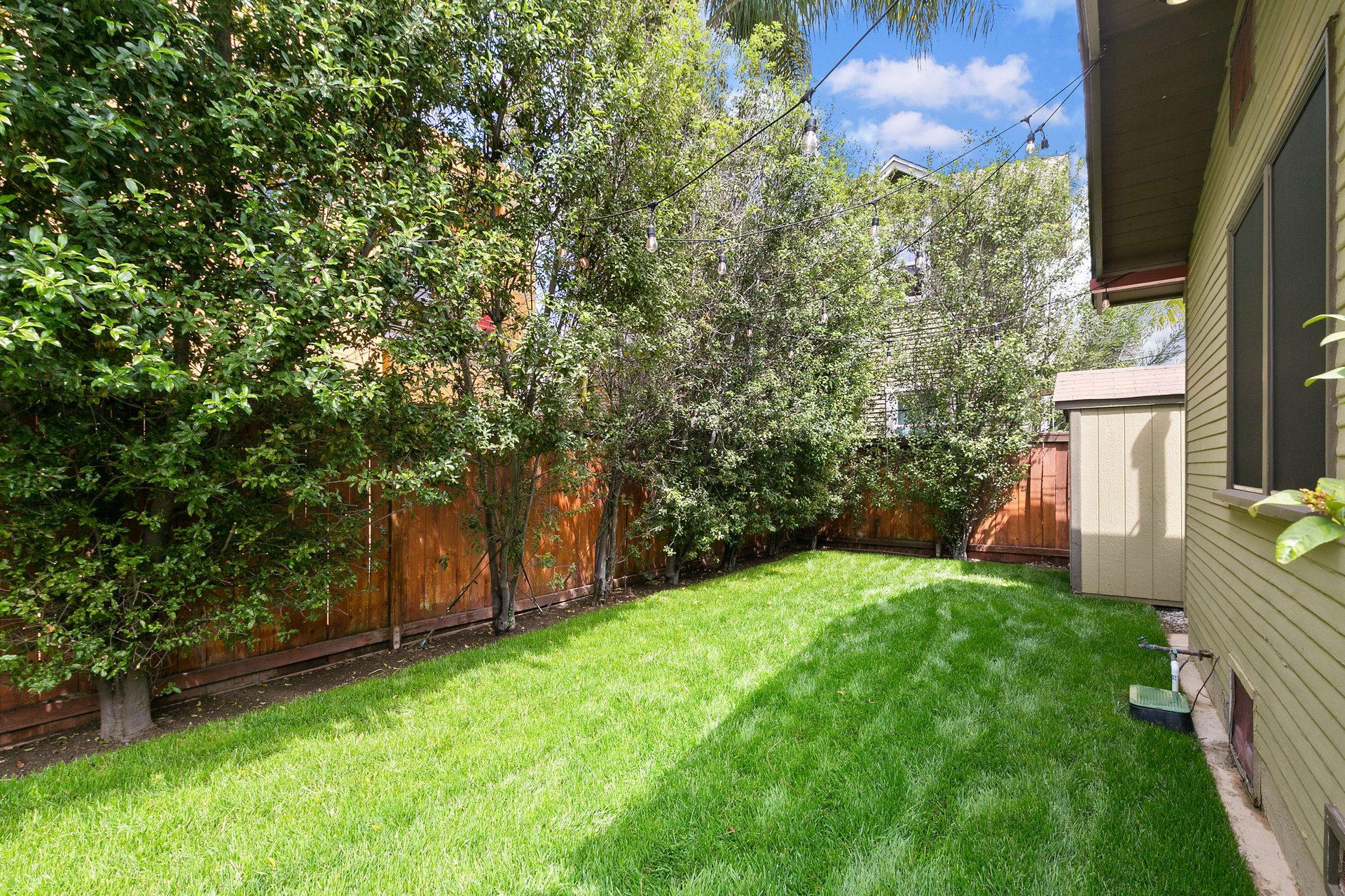Belmont Heights Craftsman
