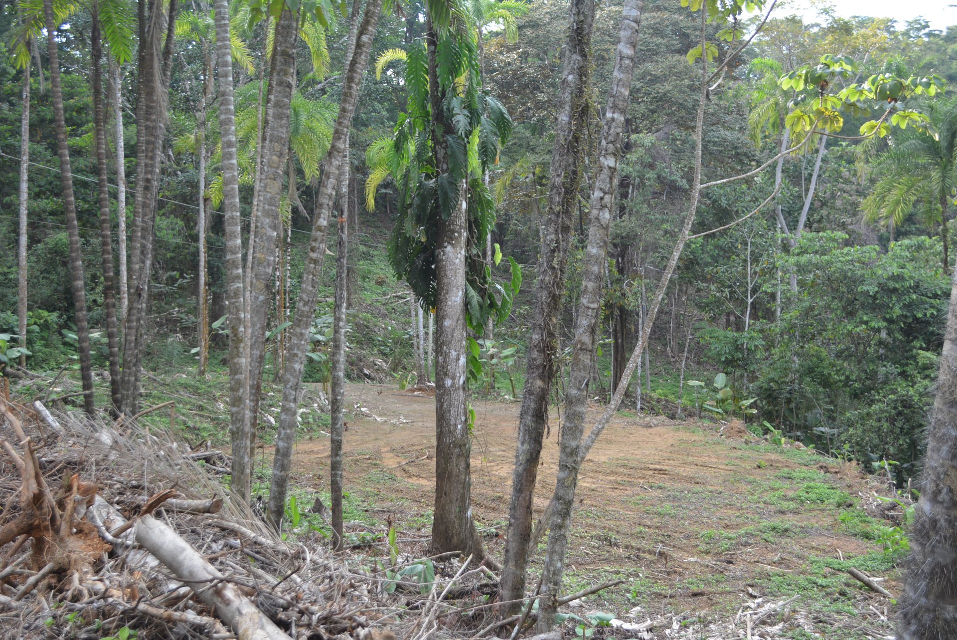 Lagunas 5 Lots 1 Acre+ Lagunas/Dominical
